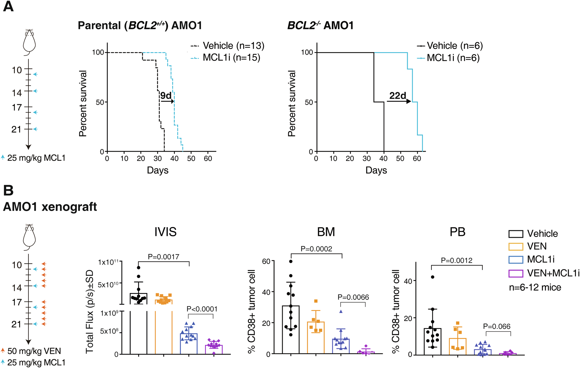 Fig. 4: Co-targeting the ancillary survival factor improves the in vivo treatment responses of tumors.