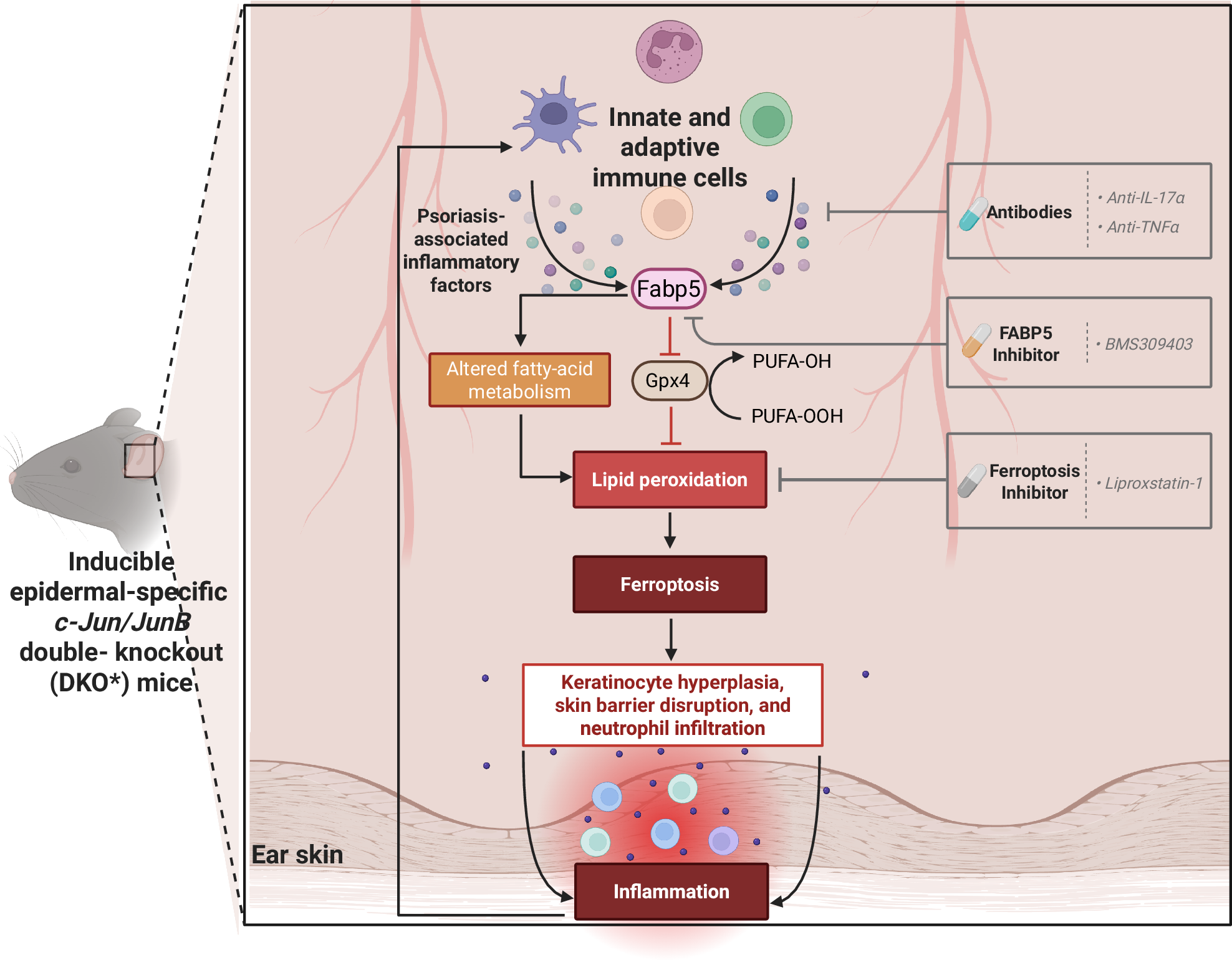 l glutathione effects on skin does ingesting glutathione work The Science Behind Glutathione Skin  Whitening Injections: A Comprehensive Guide