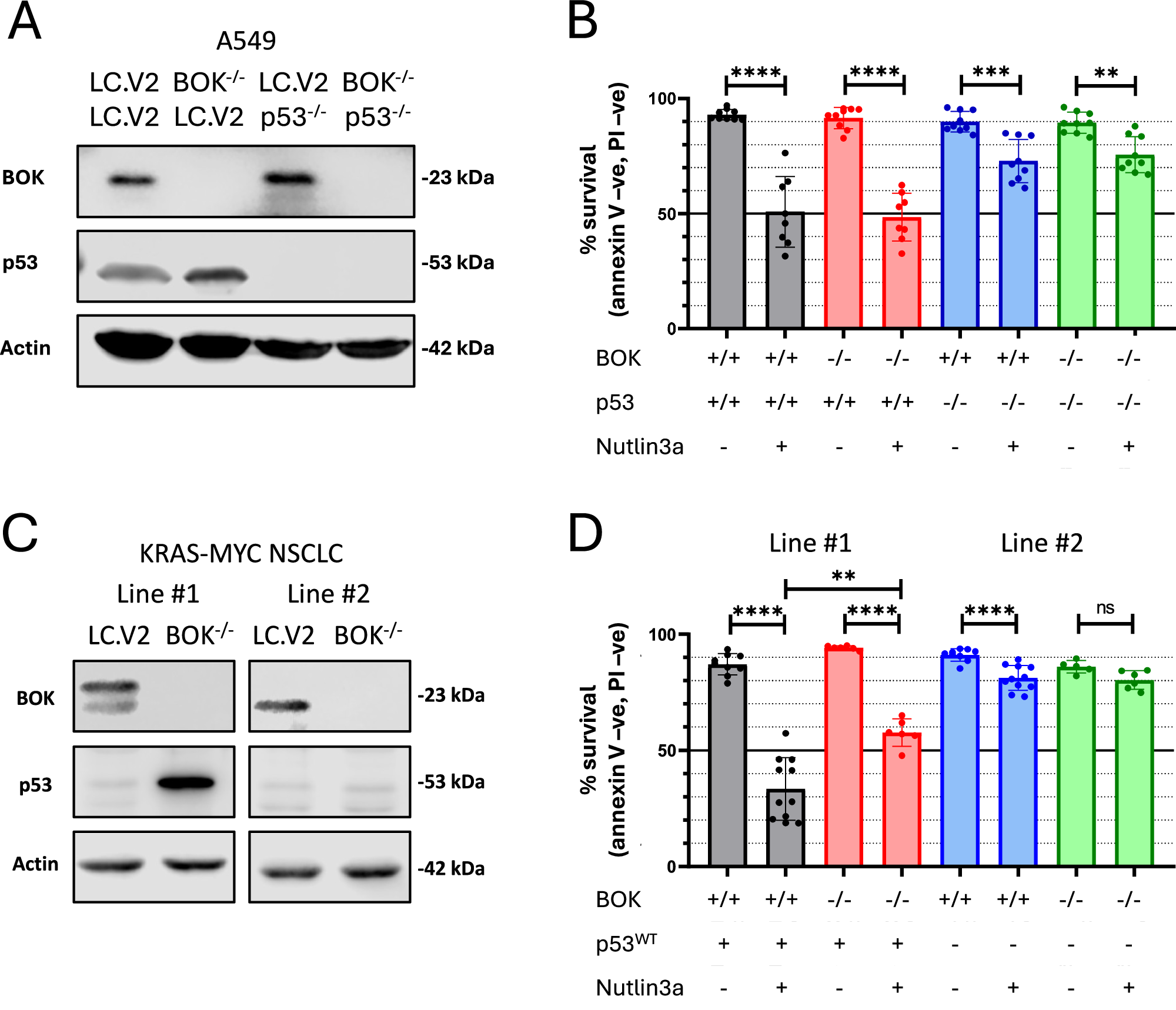 Fig. 1: Cell model characterisation.