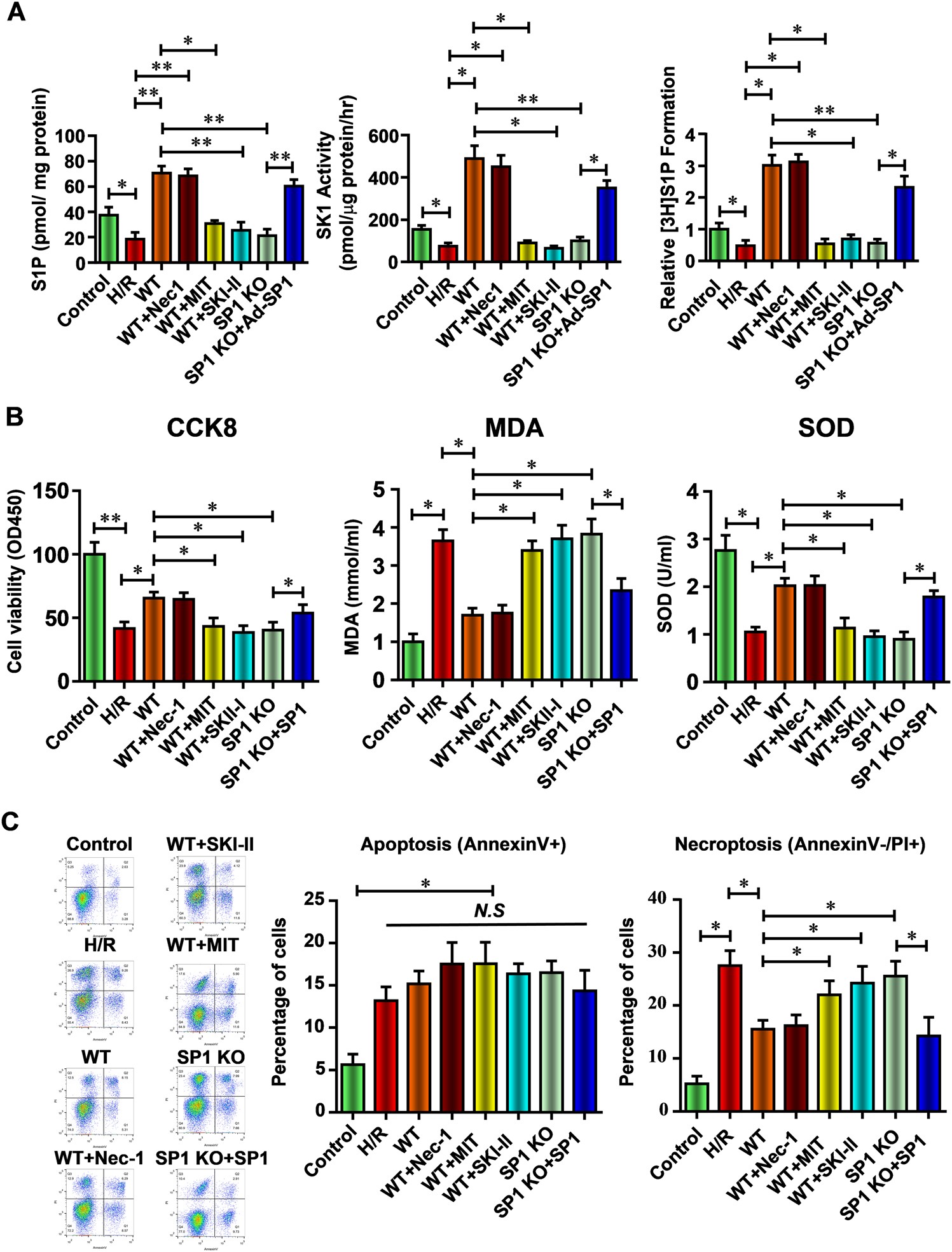 Fig. 7: SP1–SK1–S1P signaling pathway is critical to the anti-necroptosis effect of hiPSC-MSCs-EVs against renal I/R injury in vitro