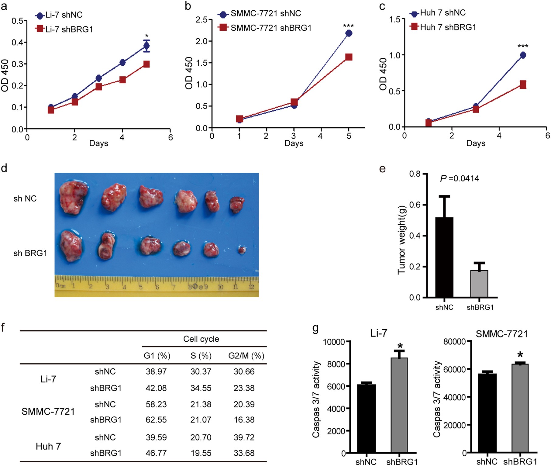 Fig. 3: BRG1 knockdown inhibited cell proliferation, arrested cell cycle in G1 phase and induced cell apoptosis