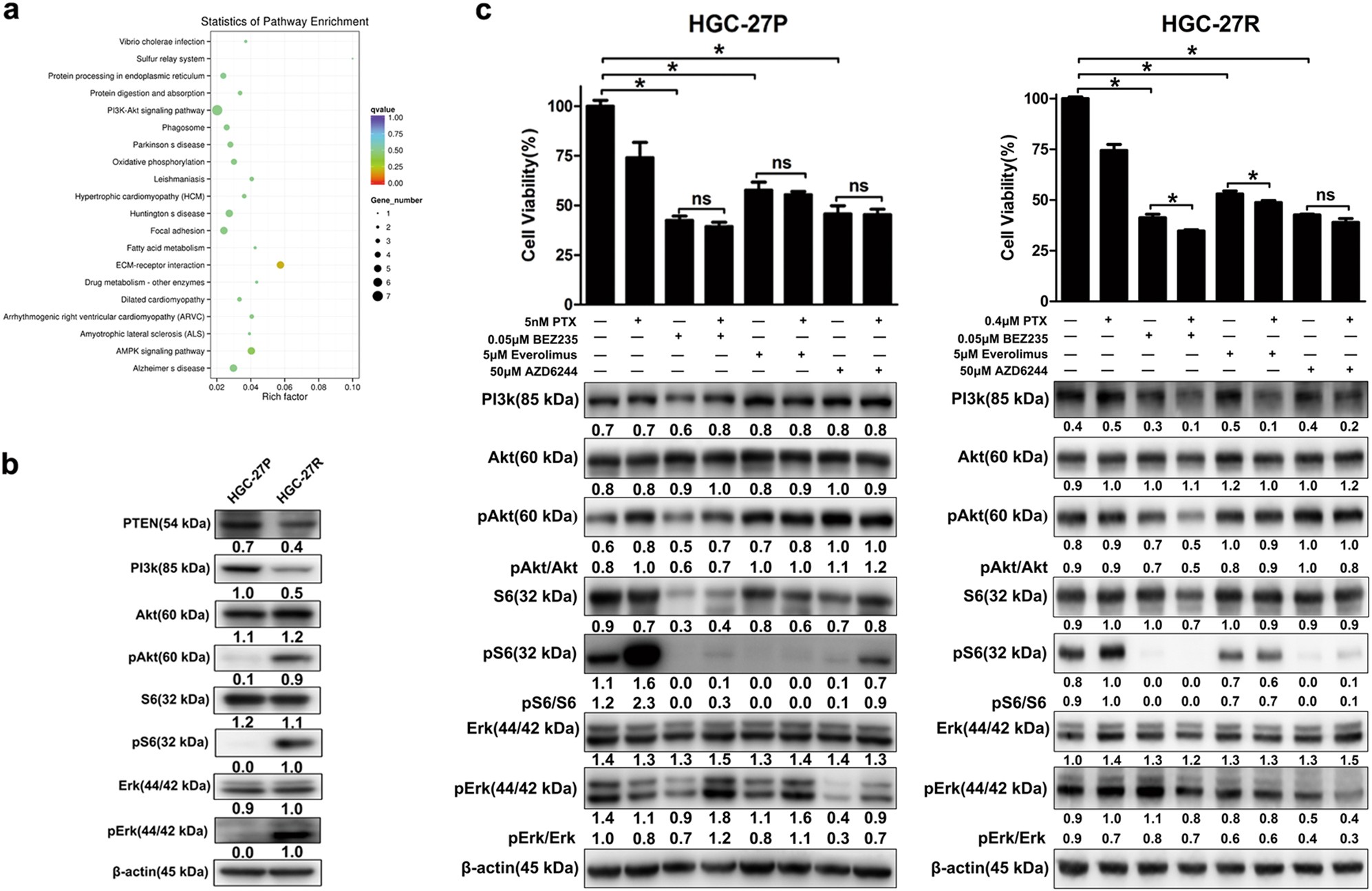 Fig. 4: Targeting the PI3K/Akt/mTOR pathway with BEZ235 yielded best antitumor effects in PTX-resistant GC cells.