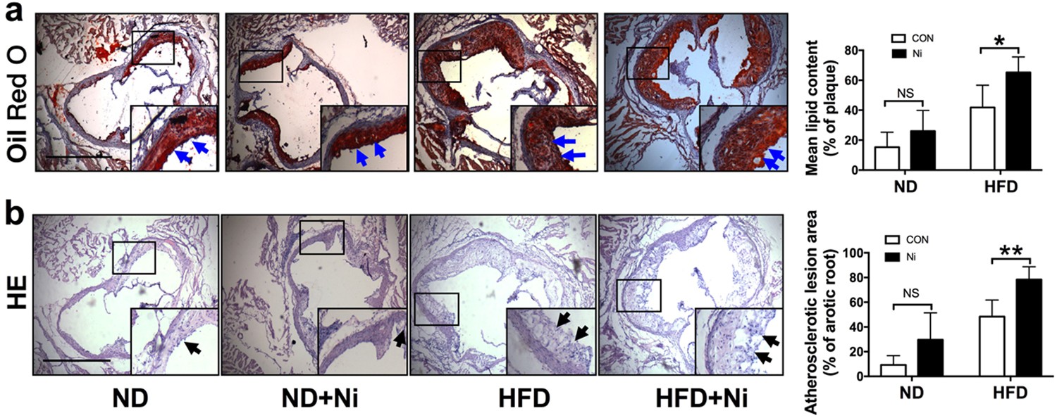 elfbar nachfüll pod läuft aus Est ce qu'on peut fumer sa cigarette électronique avec un patch à la  nicotine main image 0