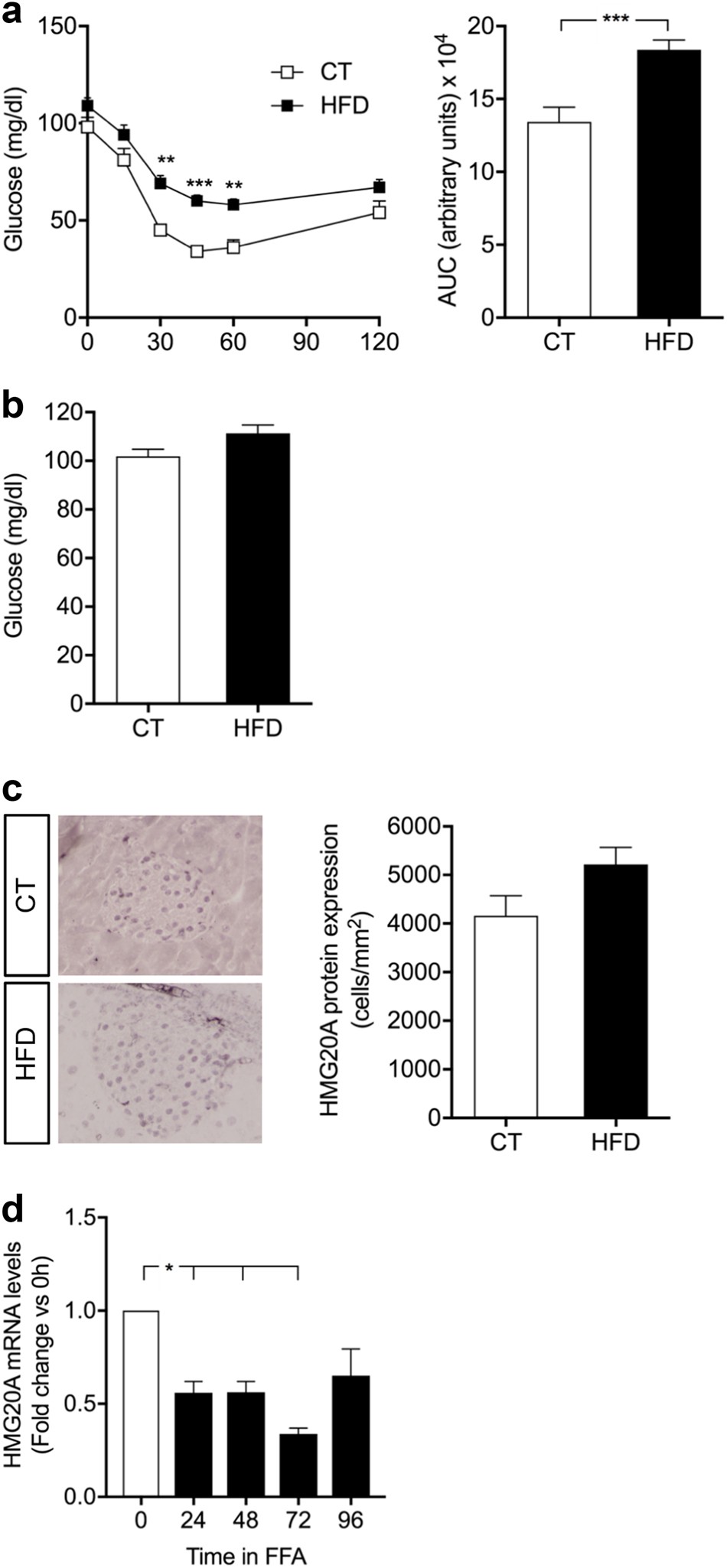 Fig. 2: HMG20A protein expression is not altered in islets of high fat diet (HFD)-induced obesity and pre-diabetic mice.