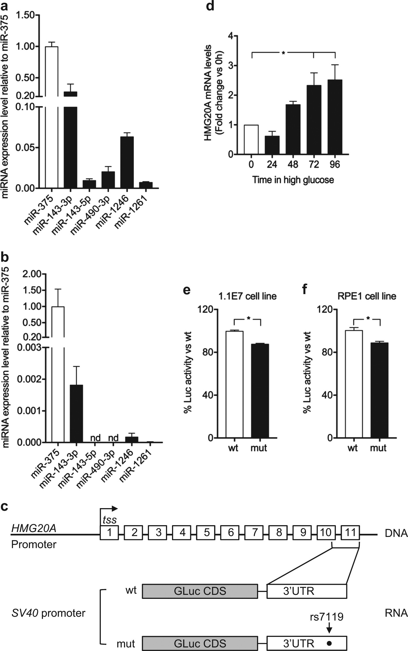 Fig. 5: The rs7119 SNP within the HMG20A 3′ UTR decreases protein levels.