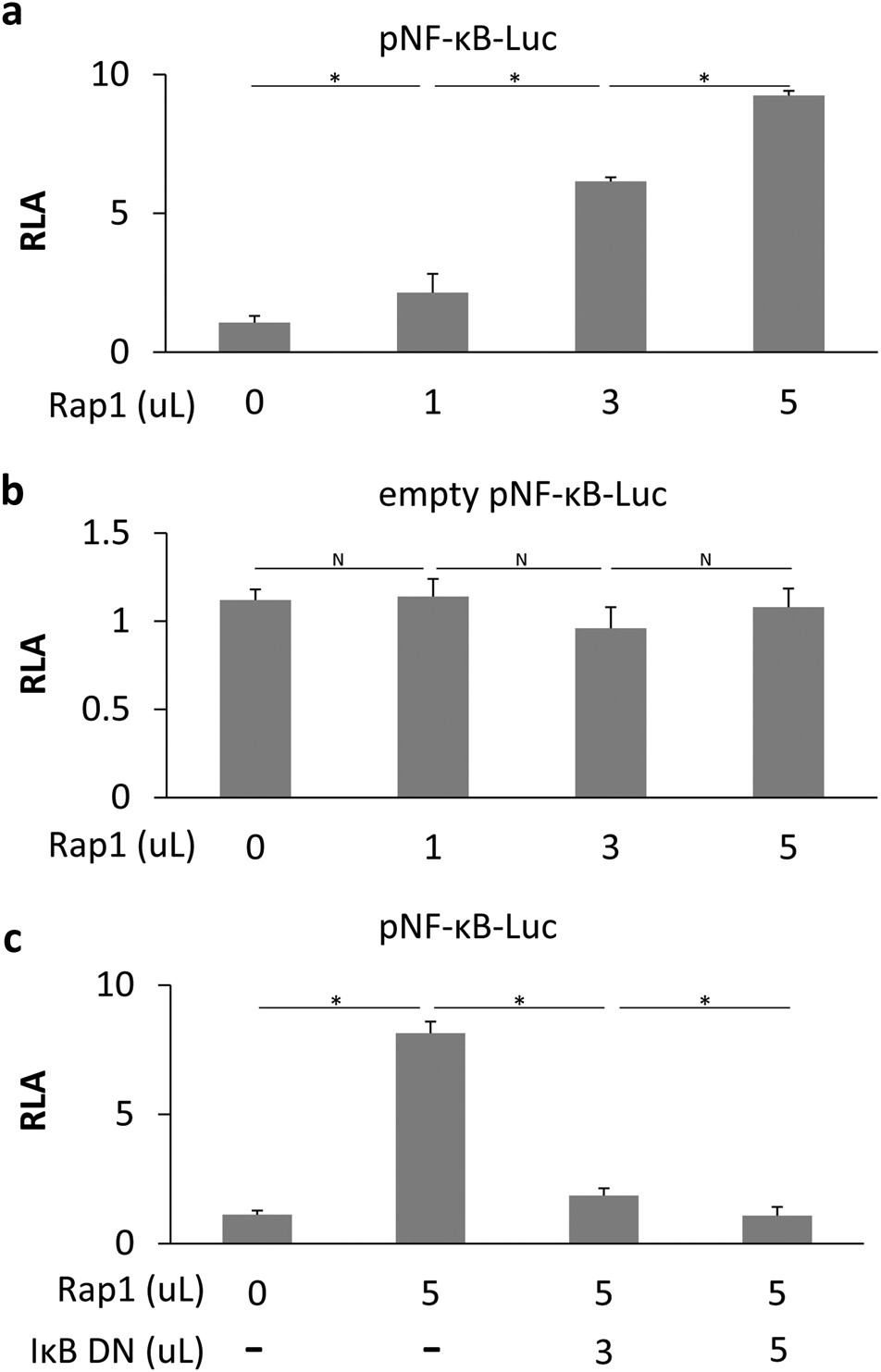 Fig. 2: Rap1 activates NF-κB transcriptional activity.