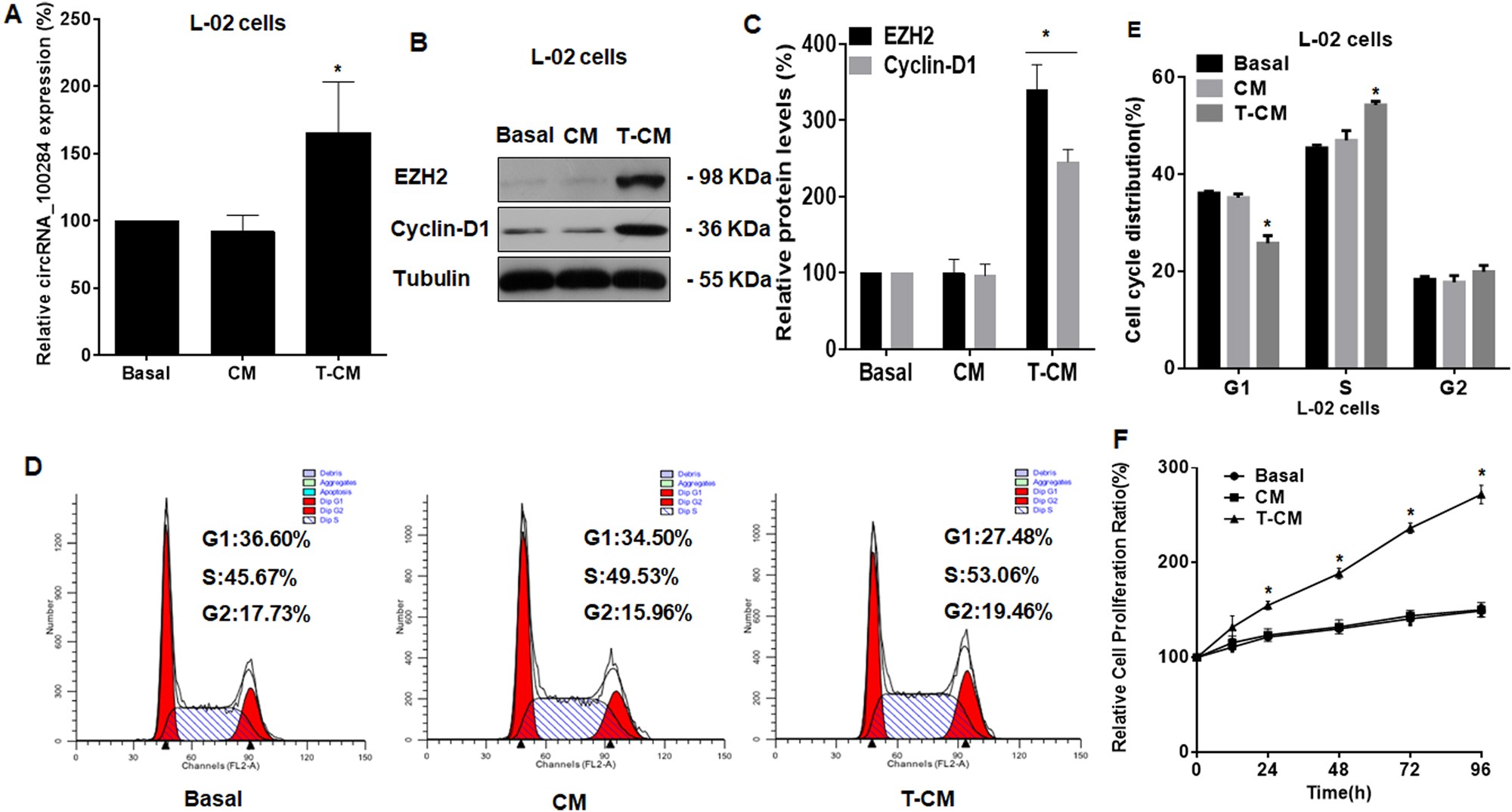 Fig. 2: Medium from arsenite-transformed L-02 cells induces increases of circRNA_100284 levels, a disorder of the cell cycle, and proliferation in normal L-02 cells.