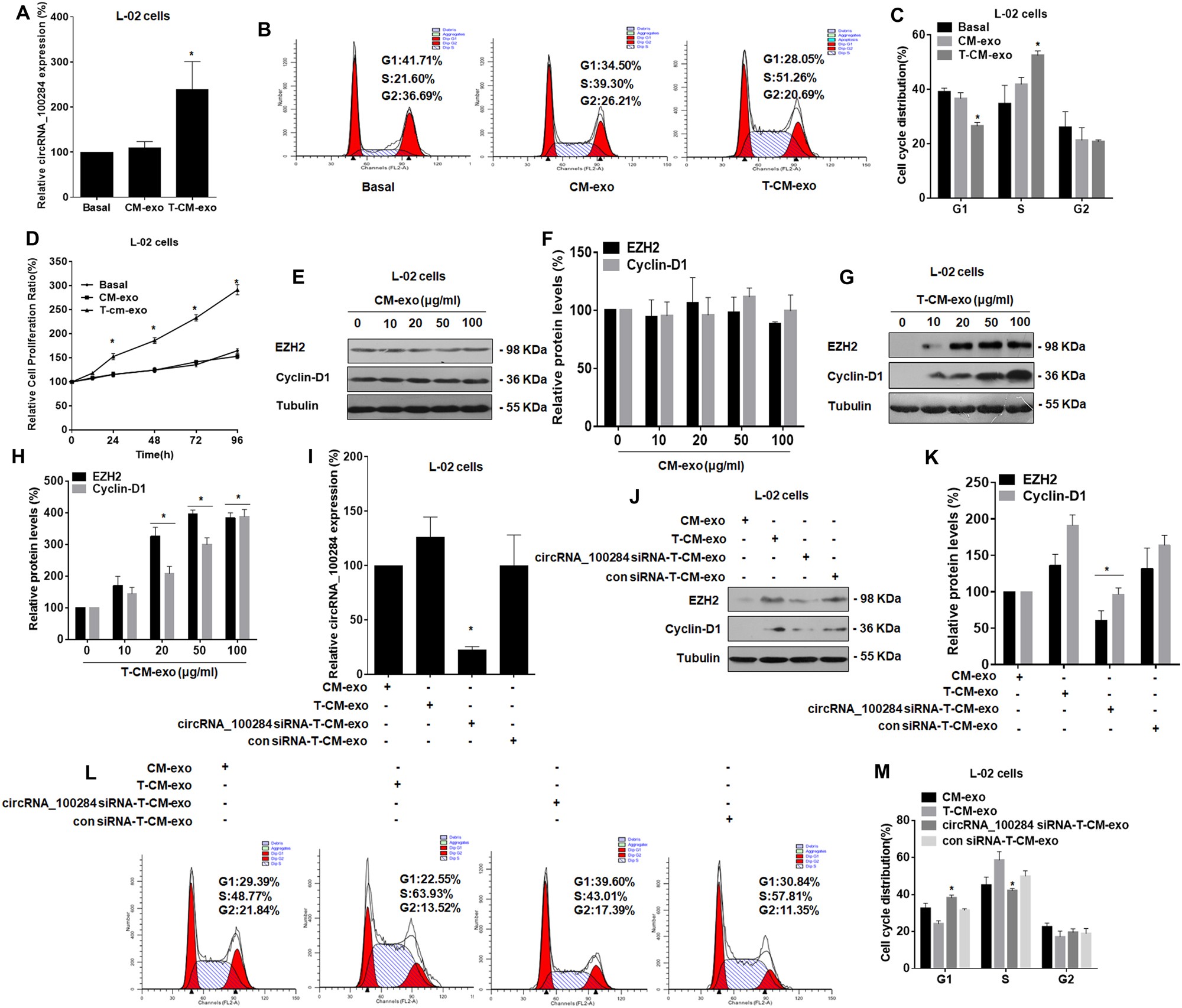 Fig. 4: Exosomal circRNA_100284 derived from arsenite-transformed L-02 cells induces acceleration of the cell cycle and proliferation in normal L-02 cells.