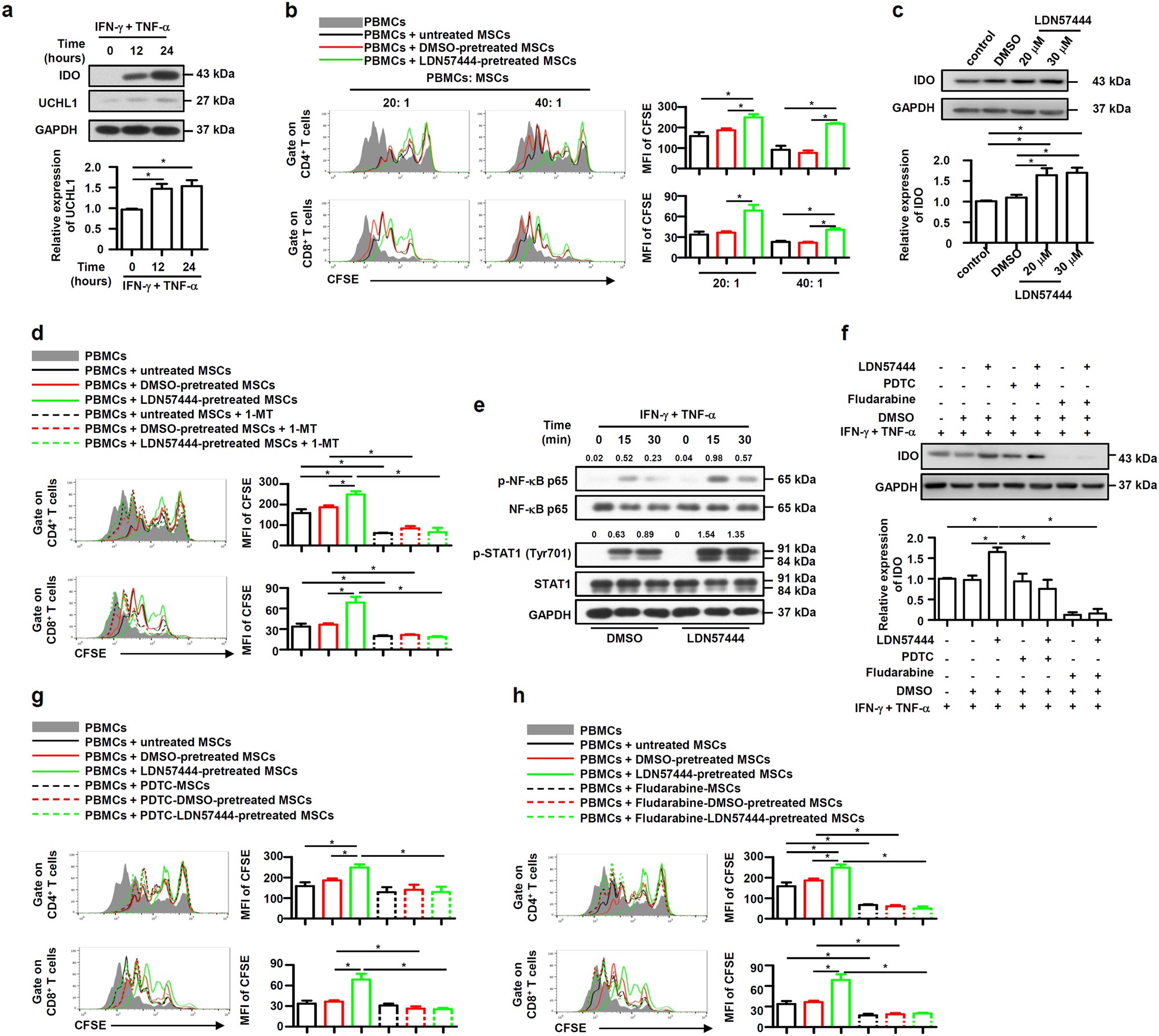 Fig. 6: UCHL1 inhibition promoted the immunosuppressive capacity and IDO expression of human MSCs.