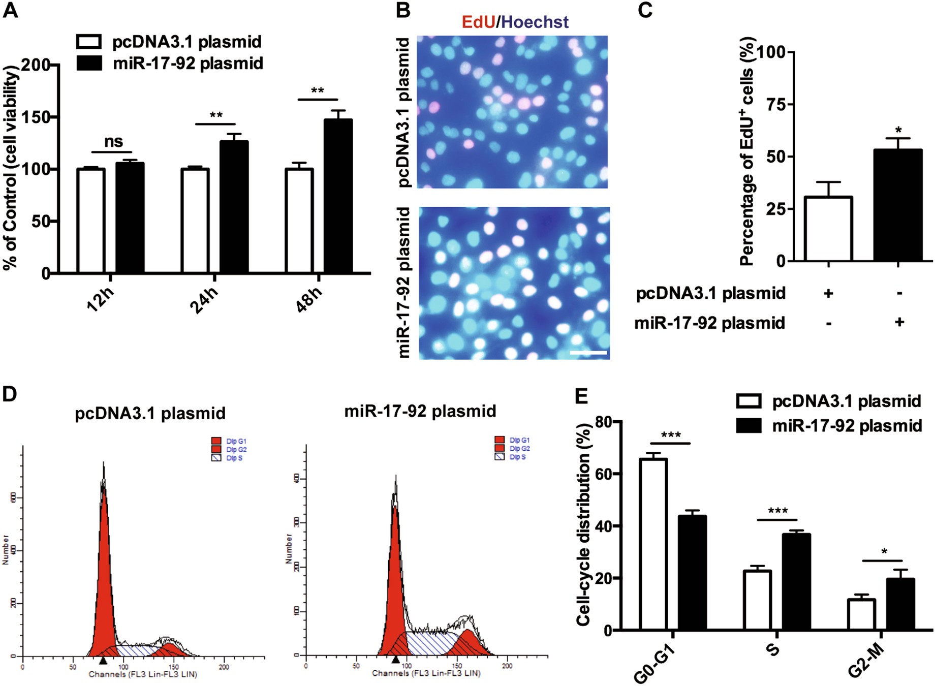 Fig. 1: MiR-17-92 cluster promotes the proliferation and the cell-cycle progression of keratinocytes.