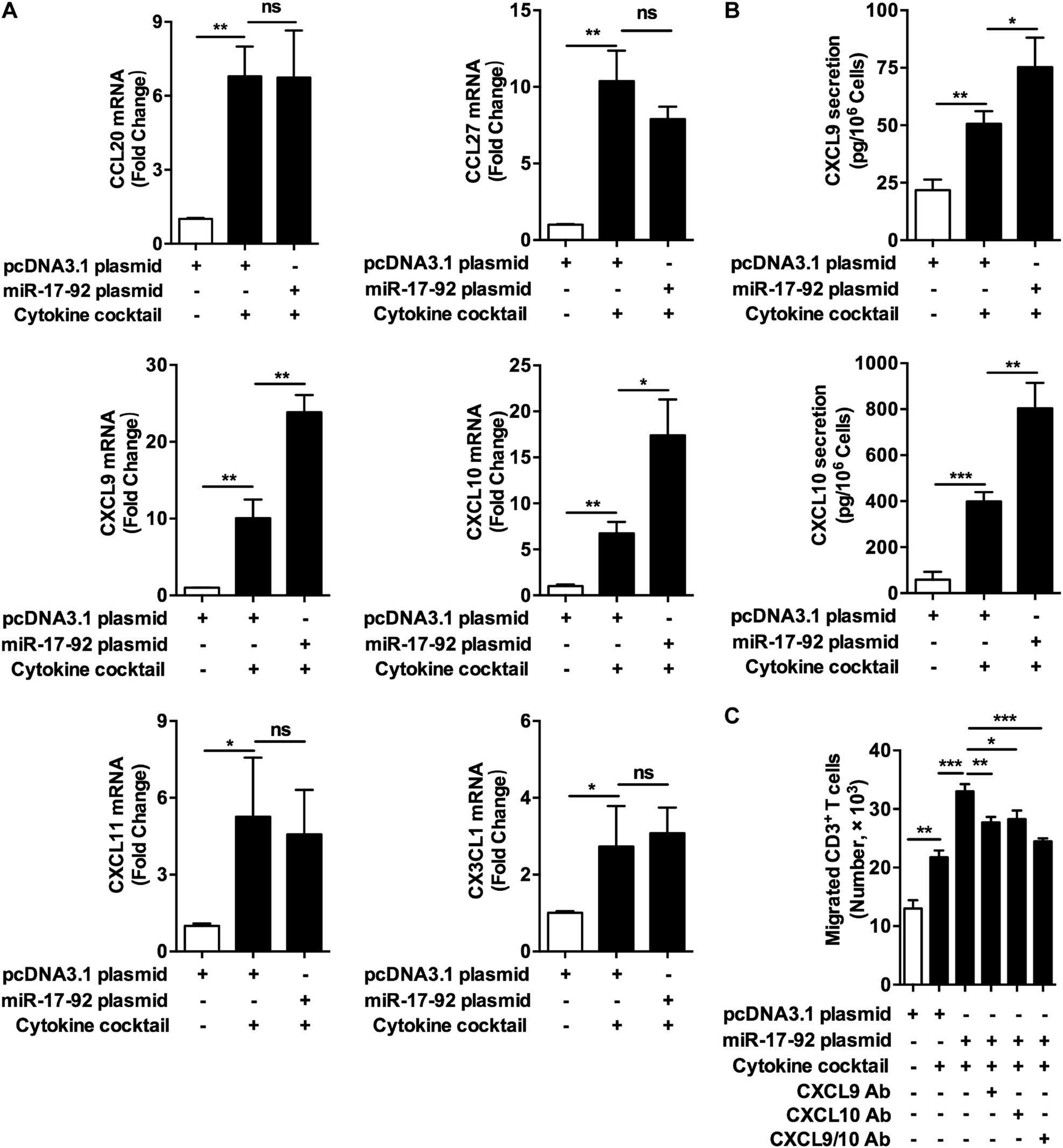 Fig. 3: MiR-17-92 cluster promotes the production of chemokines in keratinocytes primed by cytokines.