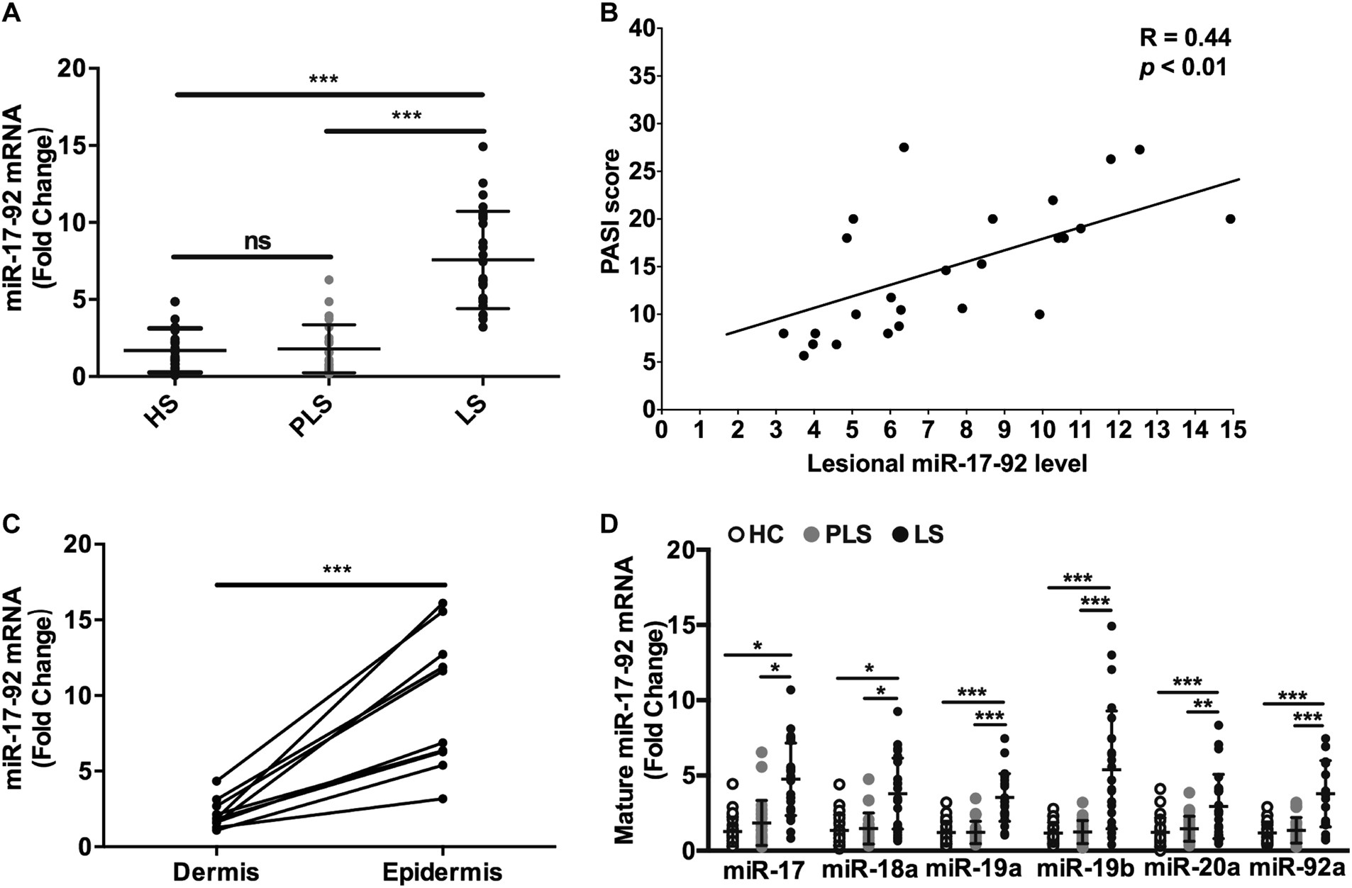 Fig. 5: The expression of miR-17-92 cluster is increased in psoriasis lesions.