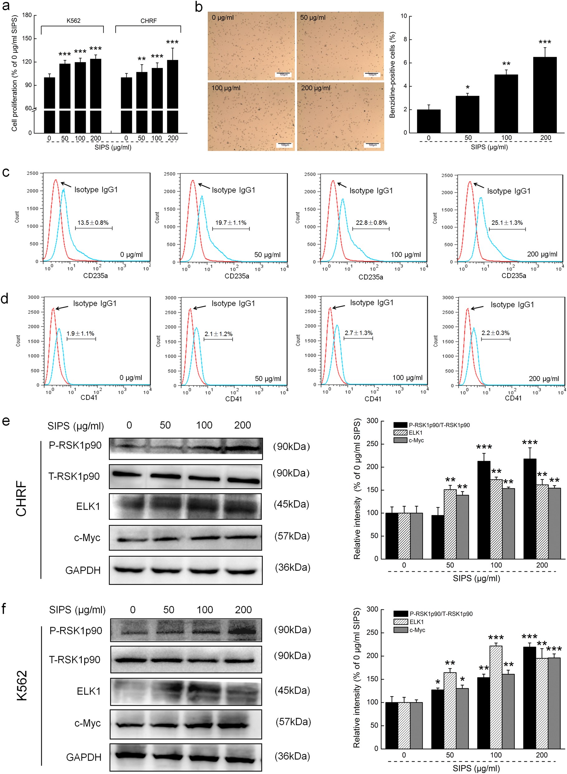 Fig. 1: The potential properties of SIPS on the proliferation and differentiation of CHRF and/or K562 cells.