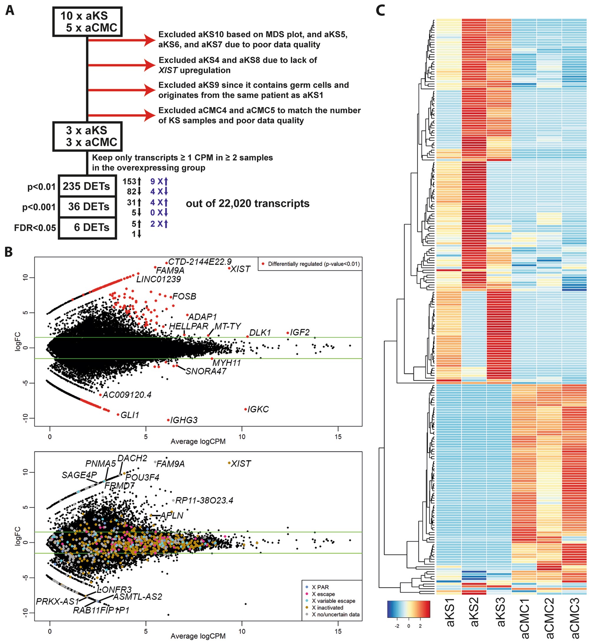 Fig. 1: Differentially expressed transcripts (DETs) in testis from adult Klinefelter syndrome (KS) patients compared to cellularity-matched control (CMC) testes.