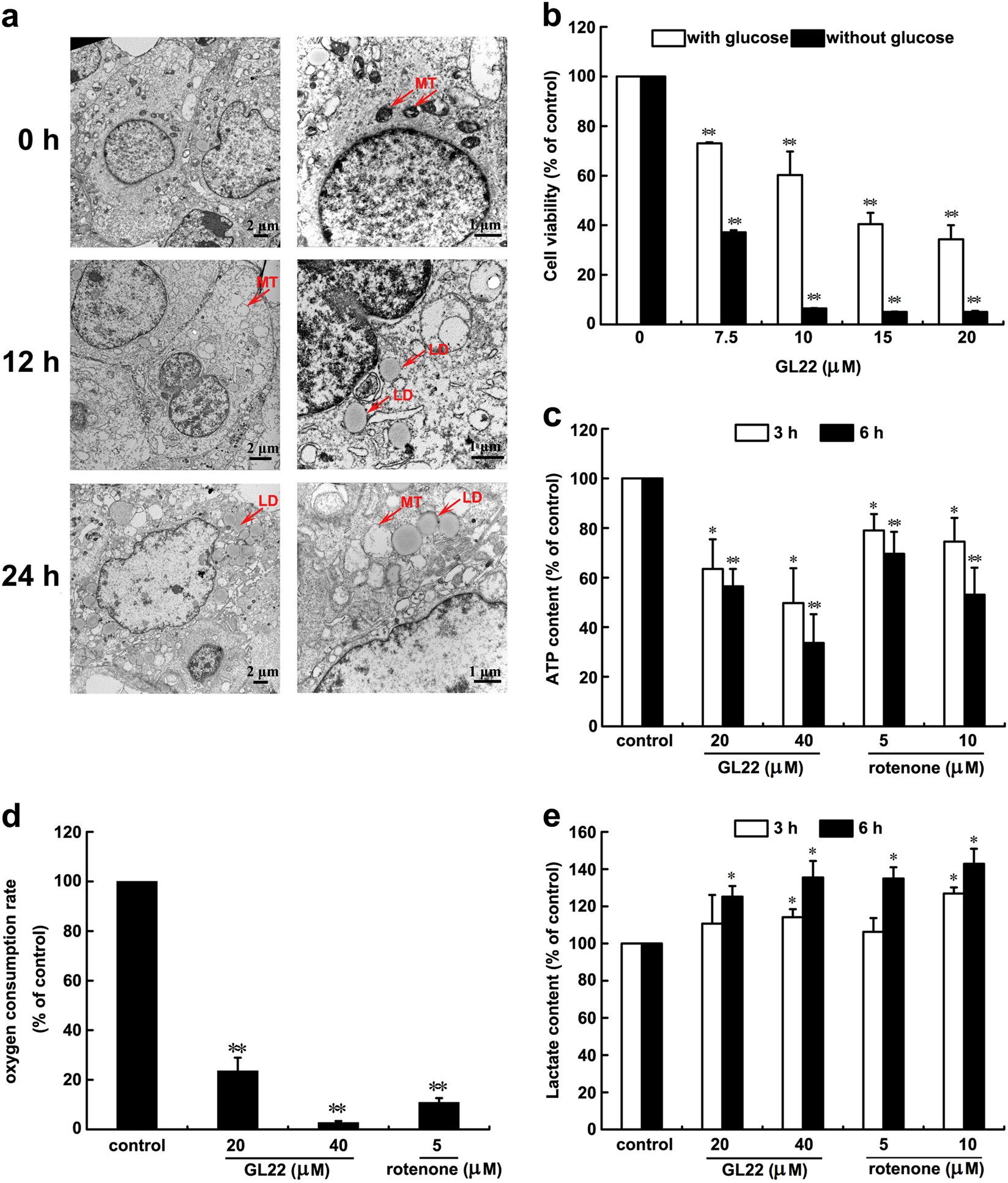 Fig. 2: GL22 triggers mitochondrial dysfunction in Huh7.5 cells.