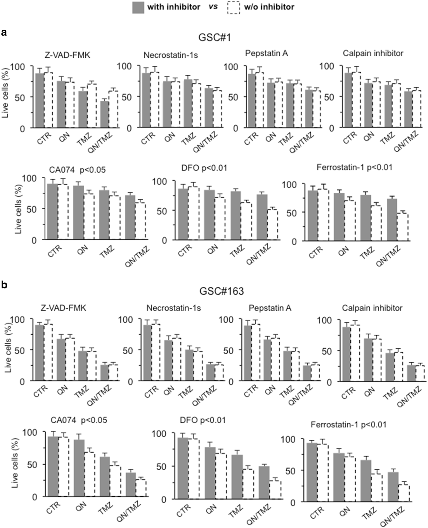 Fig. 4: In vitro characterization of cell death induced by QN/TMZ association in GSC#1 and GSC#163.