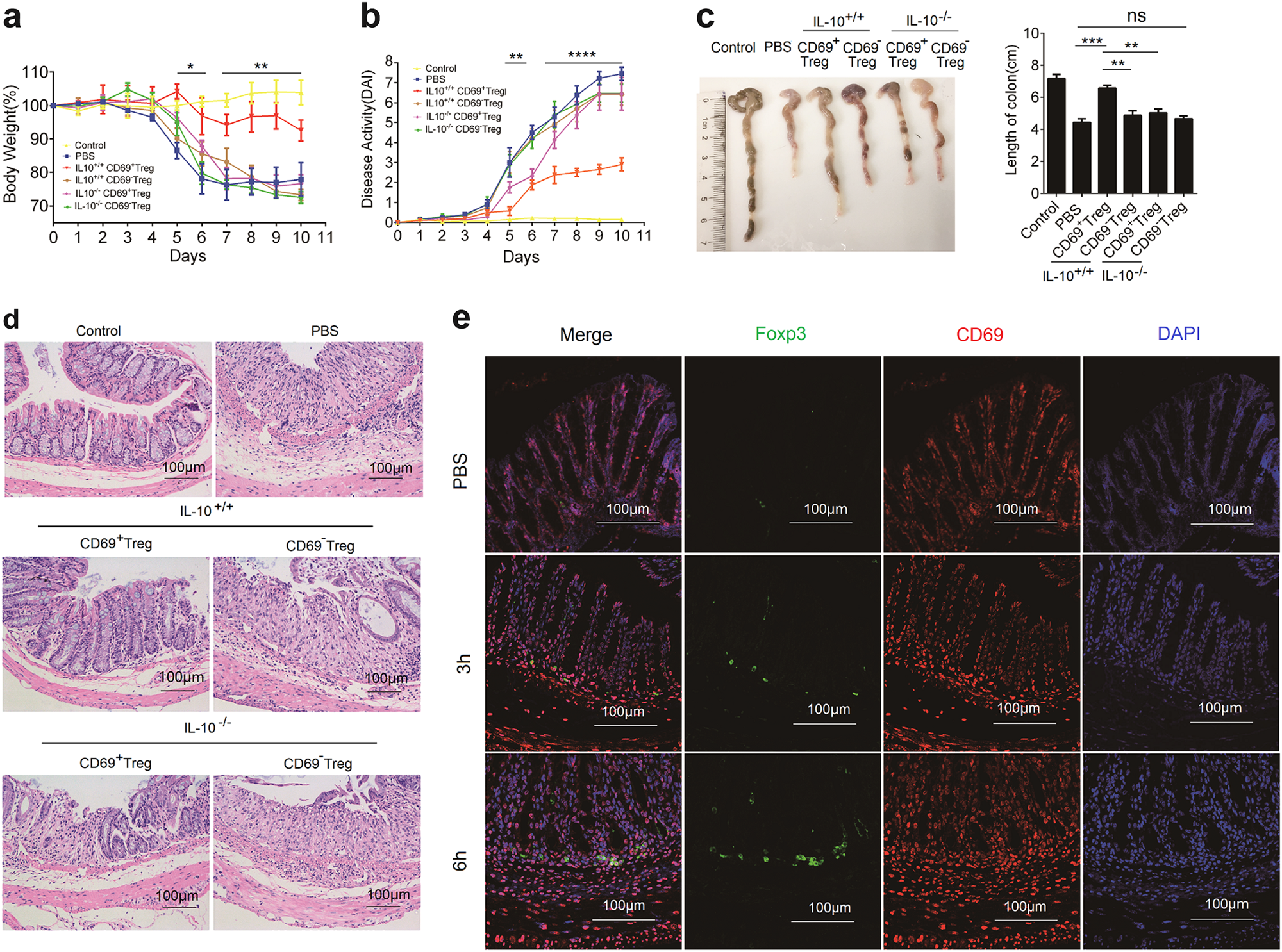 Fig. 6: CD69+ Tregs attenuated DSS-induced IBD.