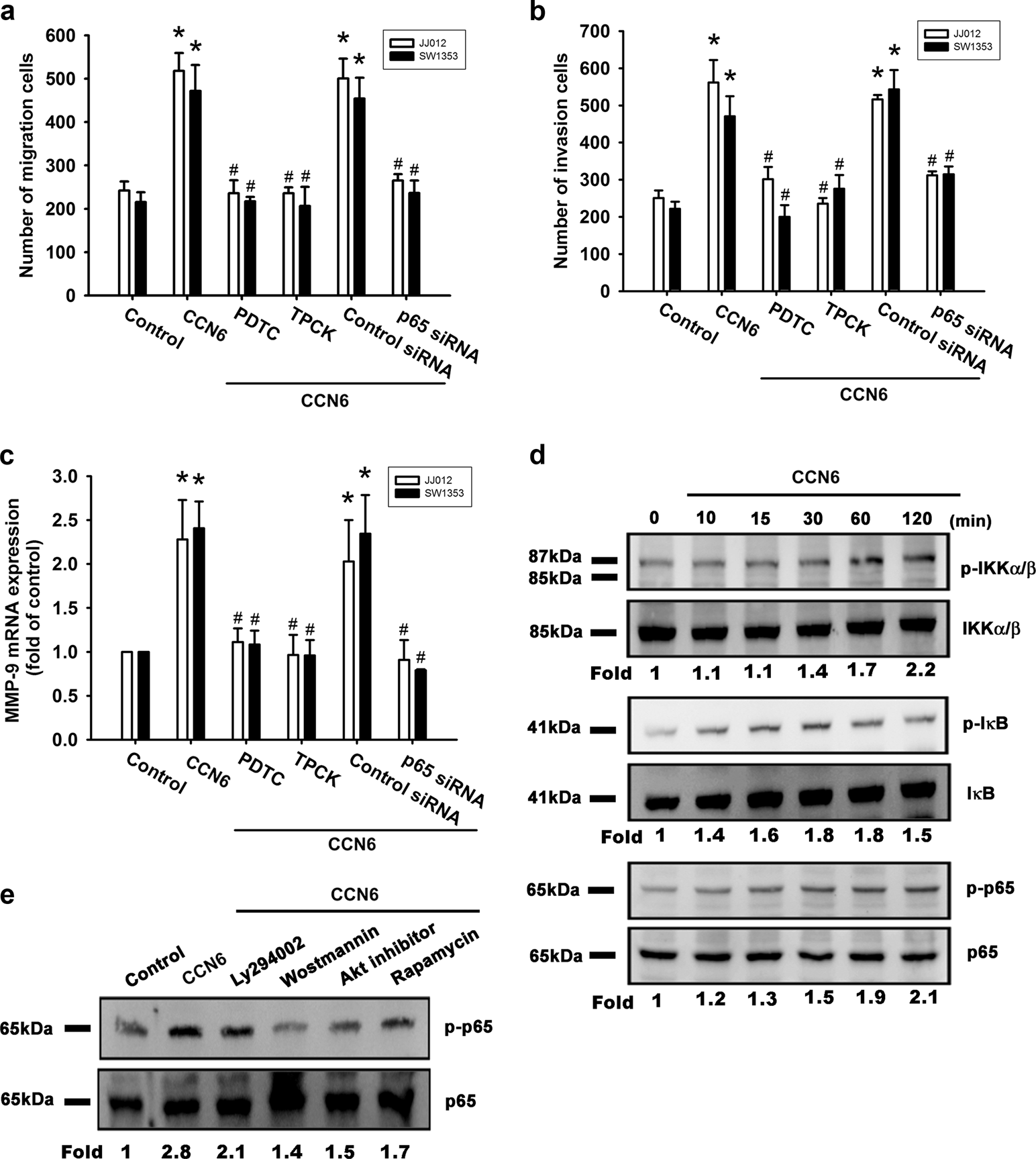 Fig. 4: CCN6 induces cell migration, invasion, and MMP-9 upregulation via NF-κB.