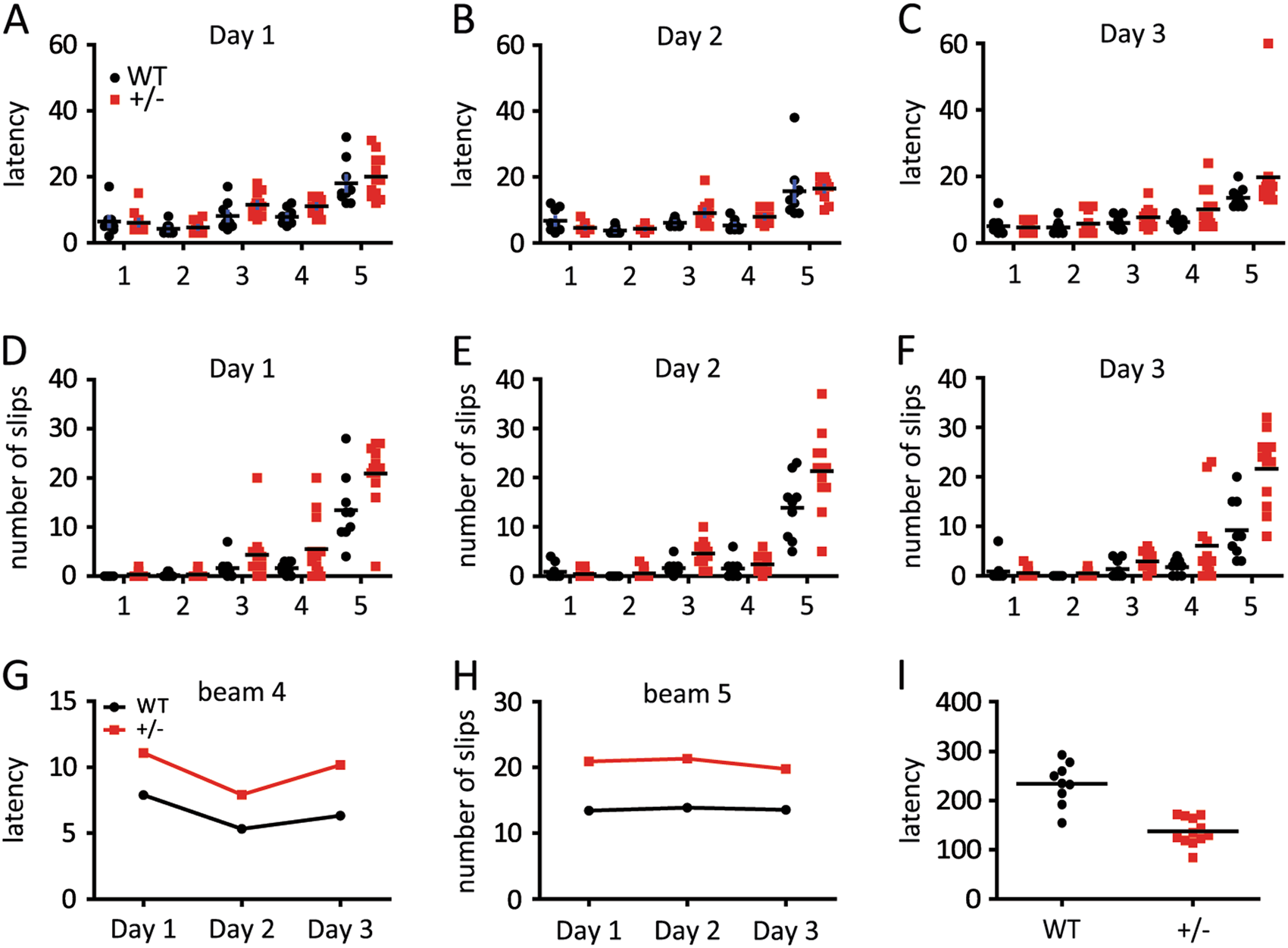 Fig. 3: Spontaneous motor deficits occurred in HIP2+/− mice at 9-month age.