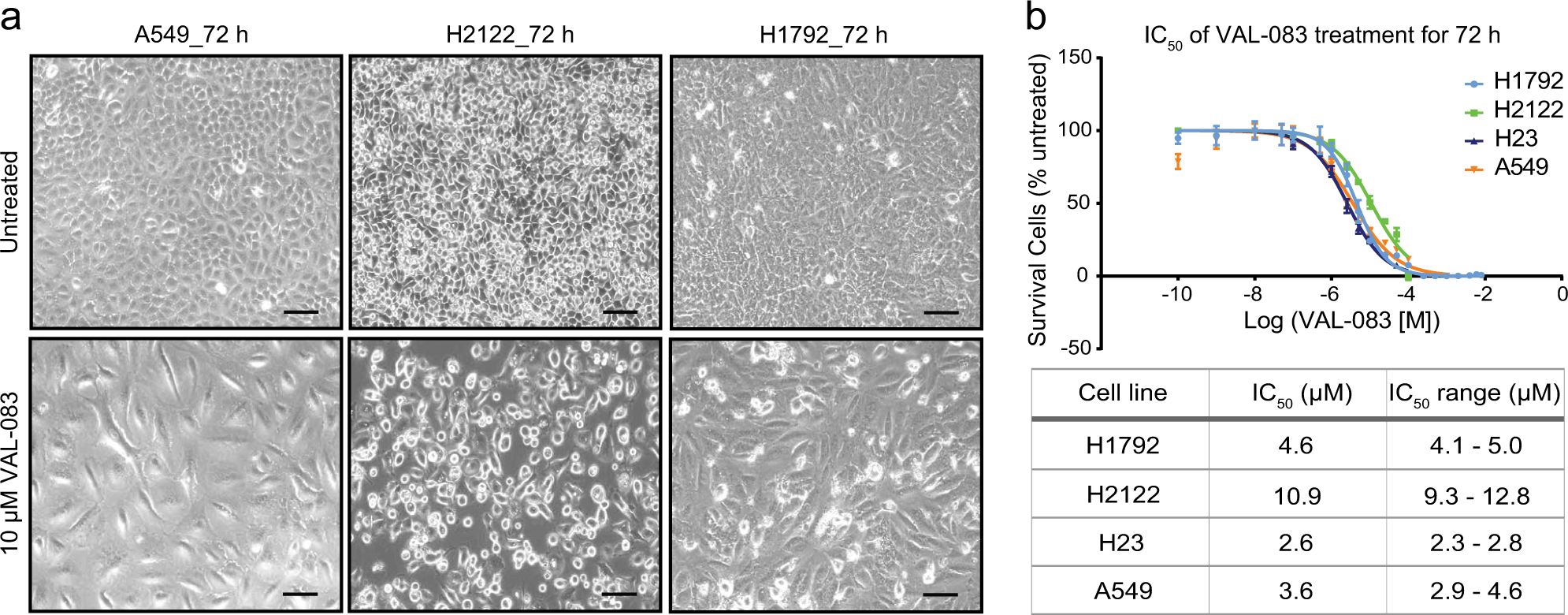 Fig. 1: Cytotoxicity of DAG in NSCLC cell lines.
