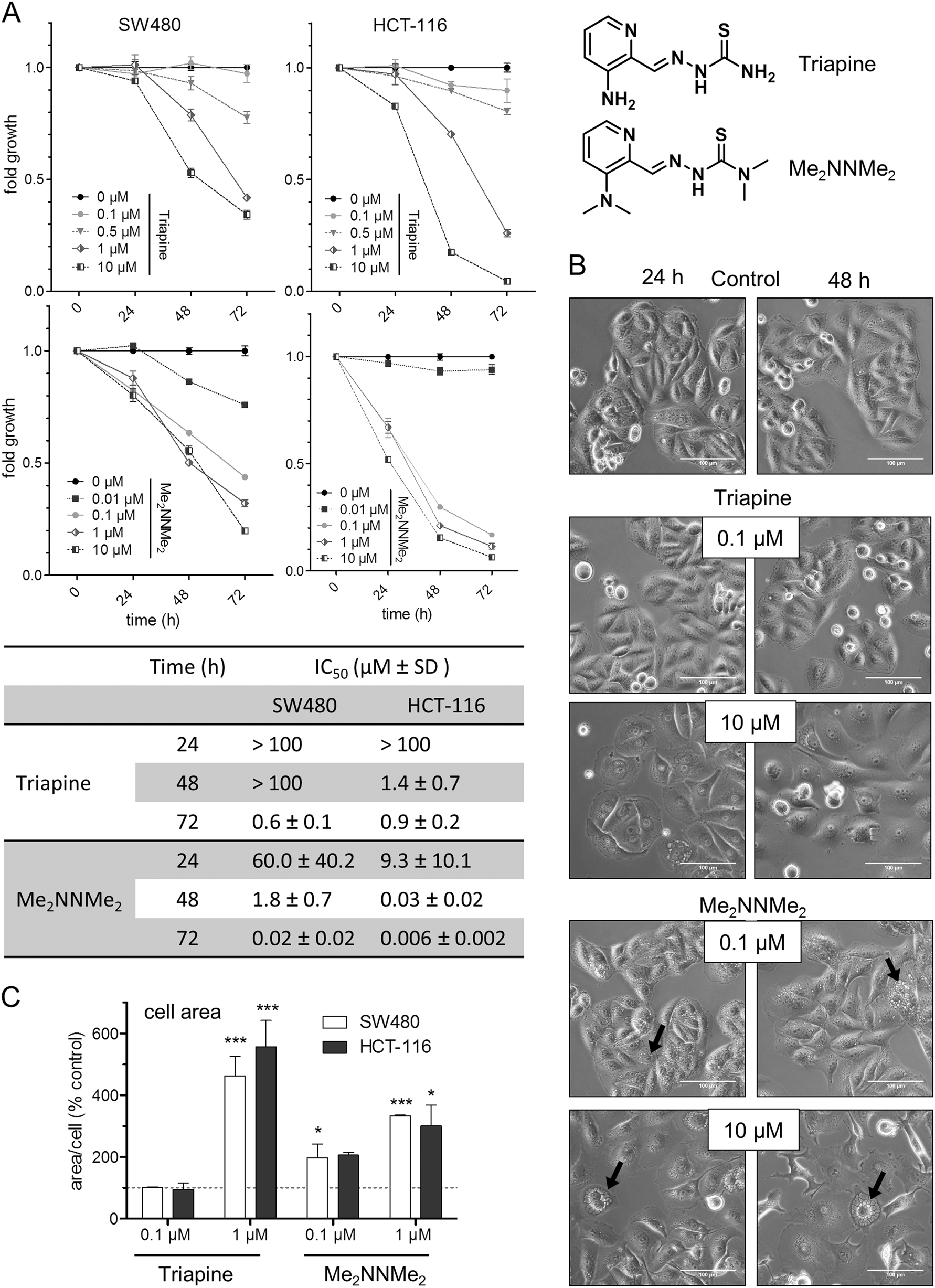 Fig. 1: Activity of Triapine and its derivative Me2NNMe2.