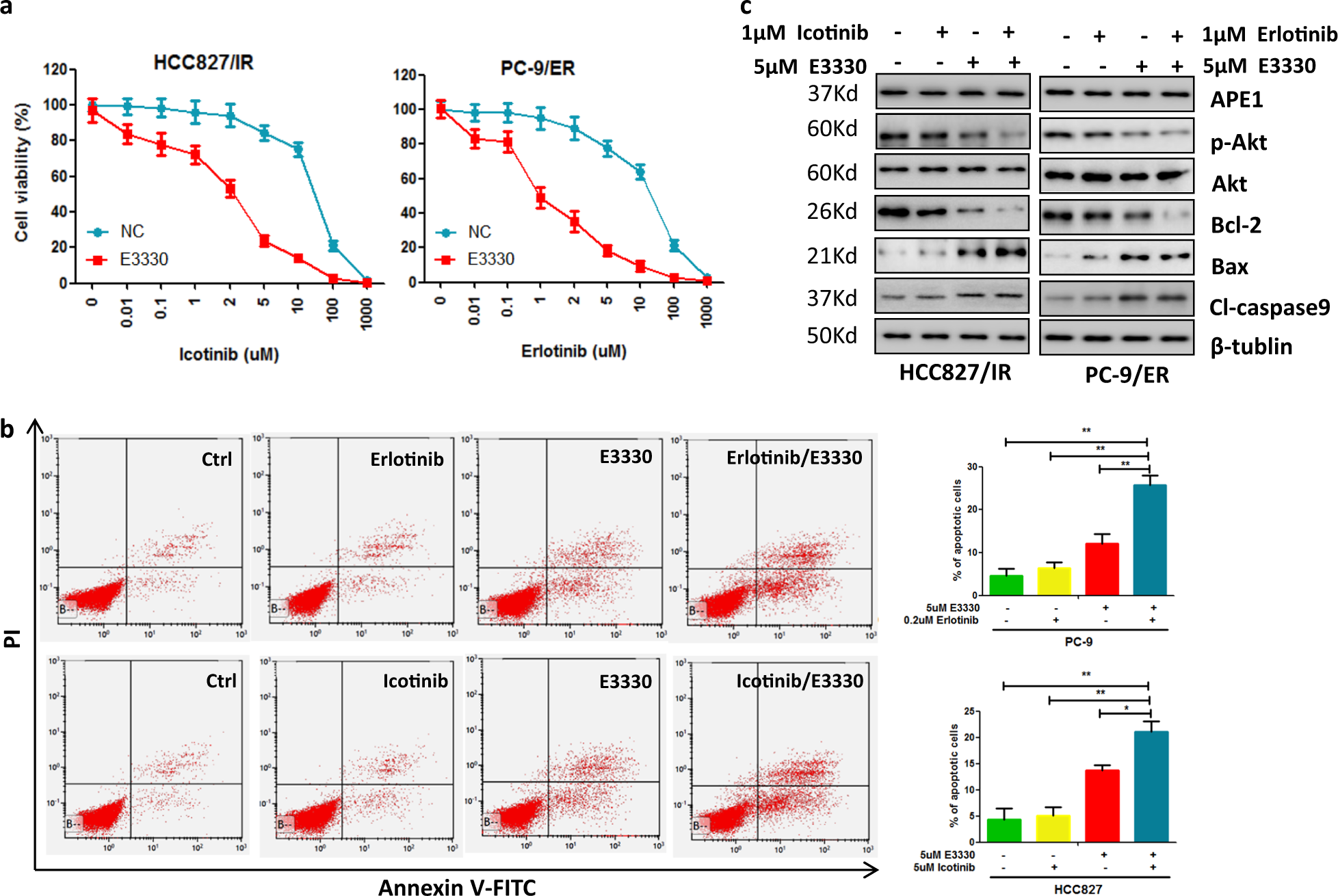 Fig. 7: Inhibition of APE1 redox function inhibited Akt phosphorylation and enhanced the sensitivity of TKI-resistant LUAD cells to TKI treatment.