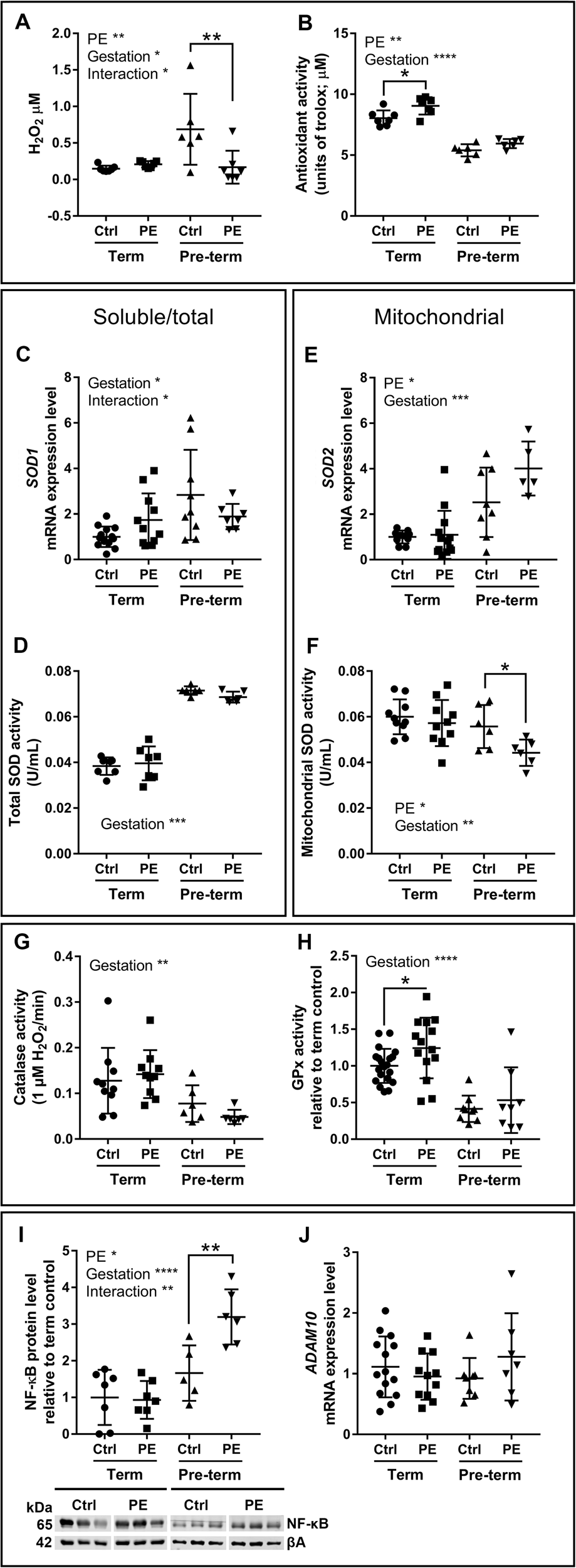 Fig. 1: Total antioxidant activity increases in term preeclamptic placentae and superoxide dismutase function is reduced in pre-term preeclamptic placentae.