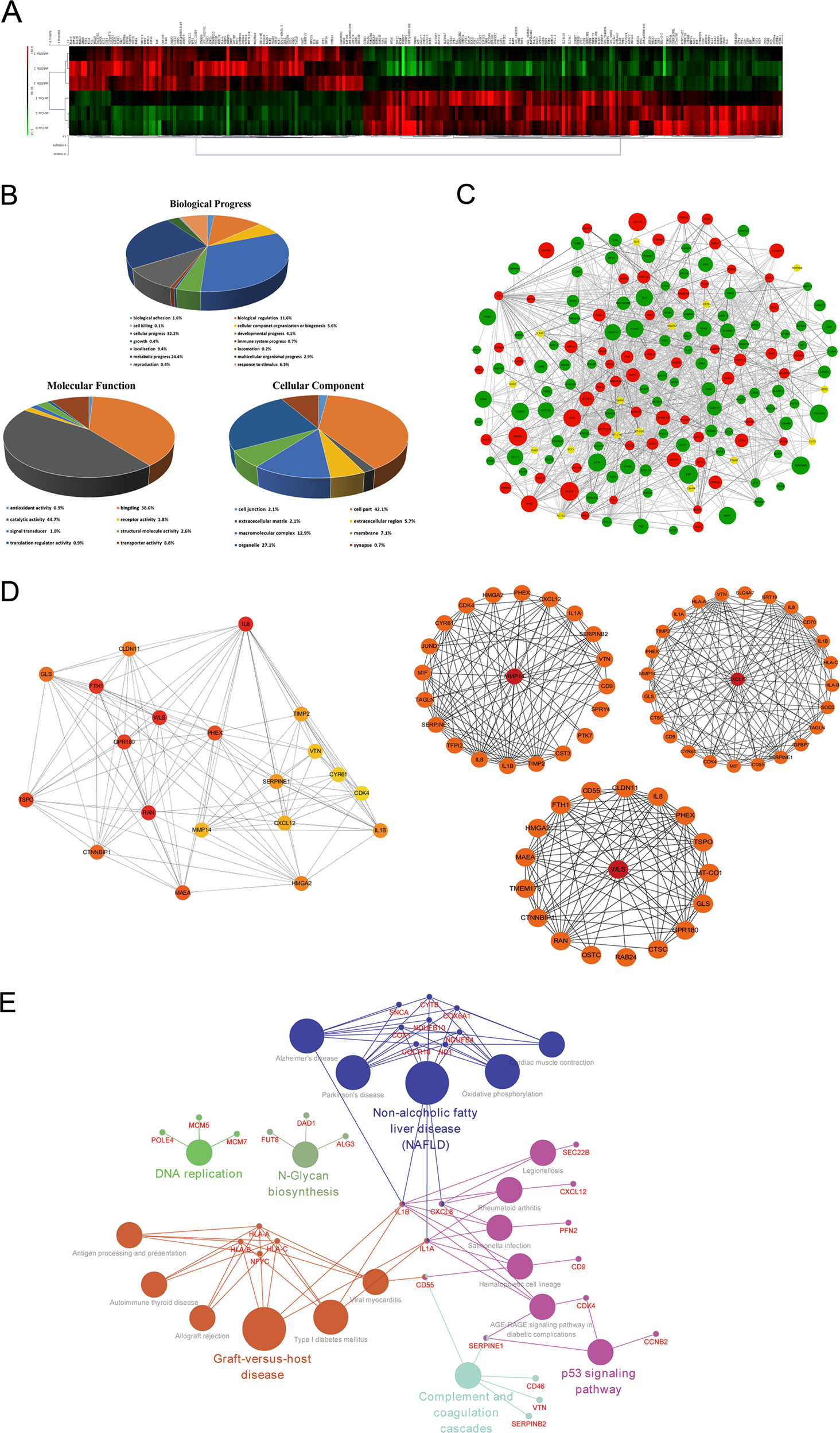 Fig. 4: Bioinformatics analysis.