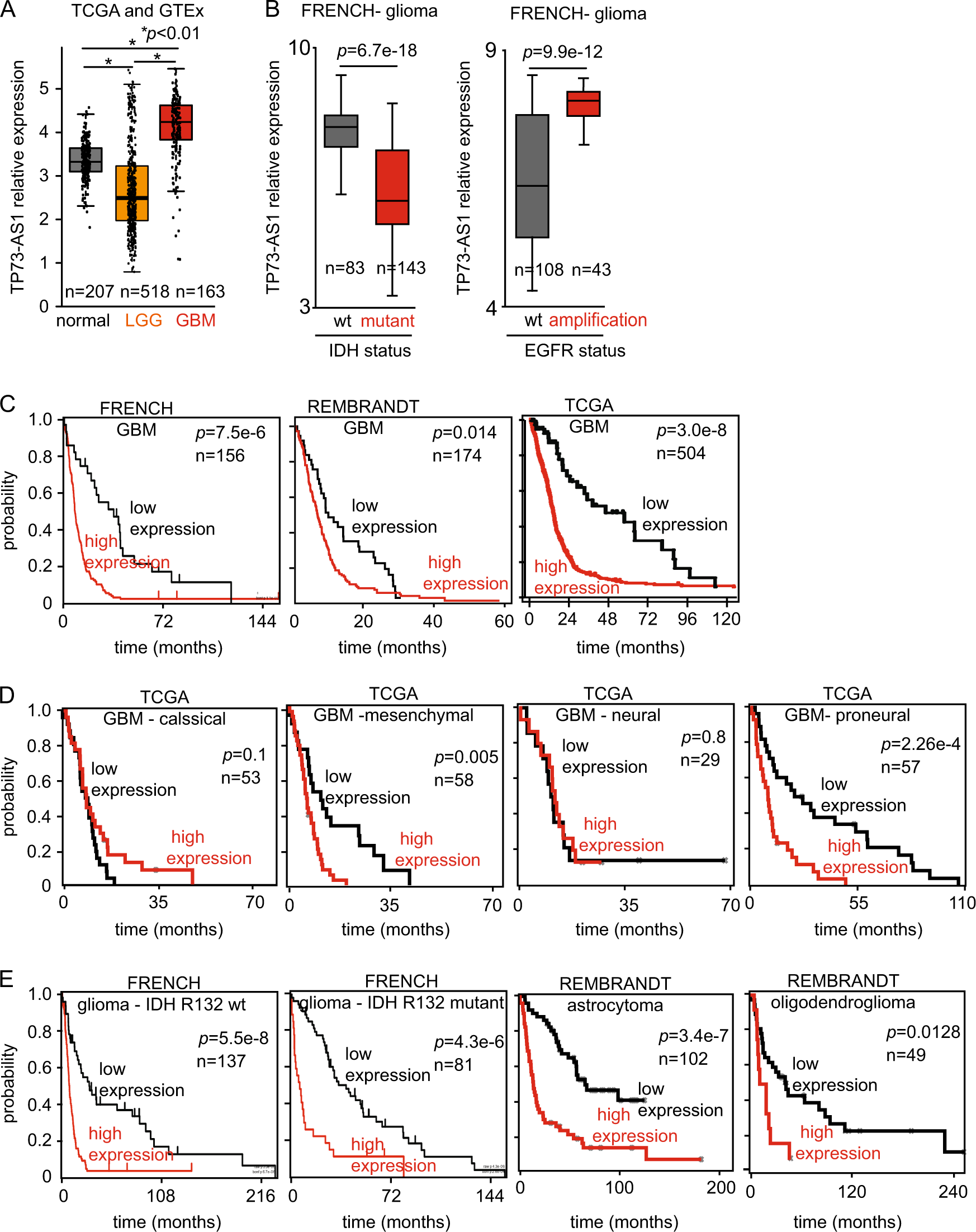 The Lncrna Tp73 As1 Is Linked To Aggressiveness In Glioblastoma And Promotes Temozolomide Resistance In Glioblastoma Cancer Stem Cells Cell Death Disease