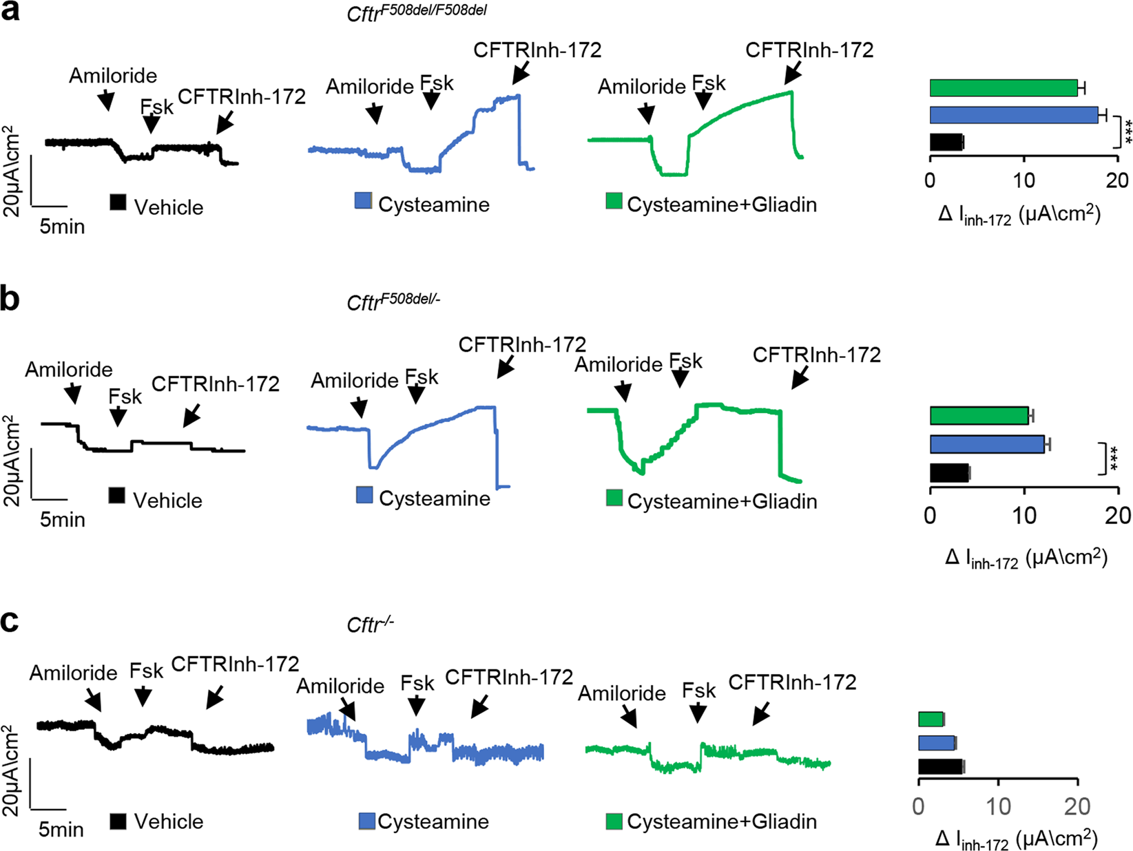 Autophagy Suppresses The Pathogenic Immune Response To Dietary Antigens In Cystic Fibrosis Cell Death Disease