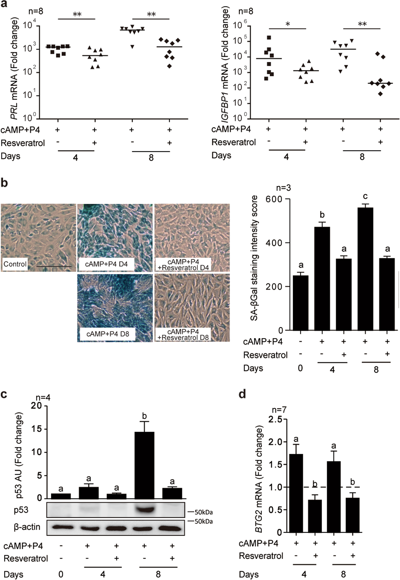 Resveratrol inhibits decidualization by accelerating downregulation of the  CRABP2-RAR pathway in differentiating human endometrial stromal cells |  Cell Death & Disease