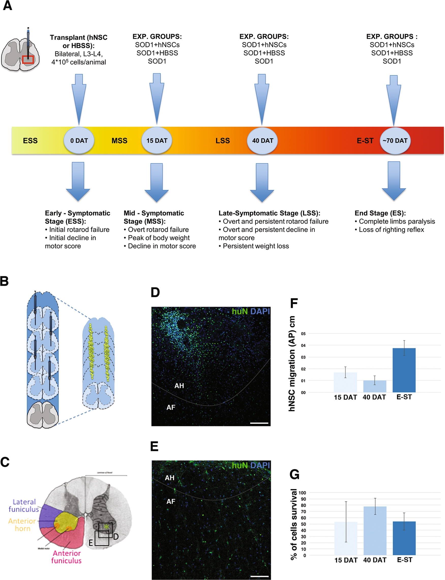 Stem Cell Research Charts