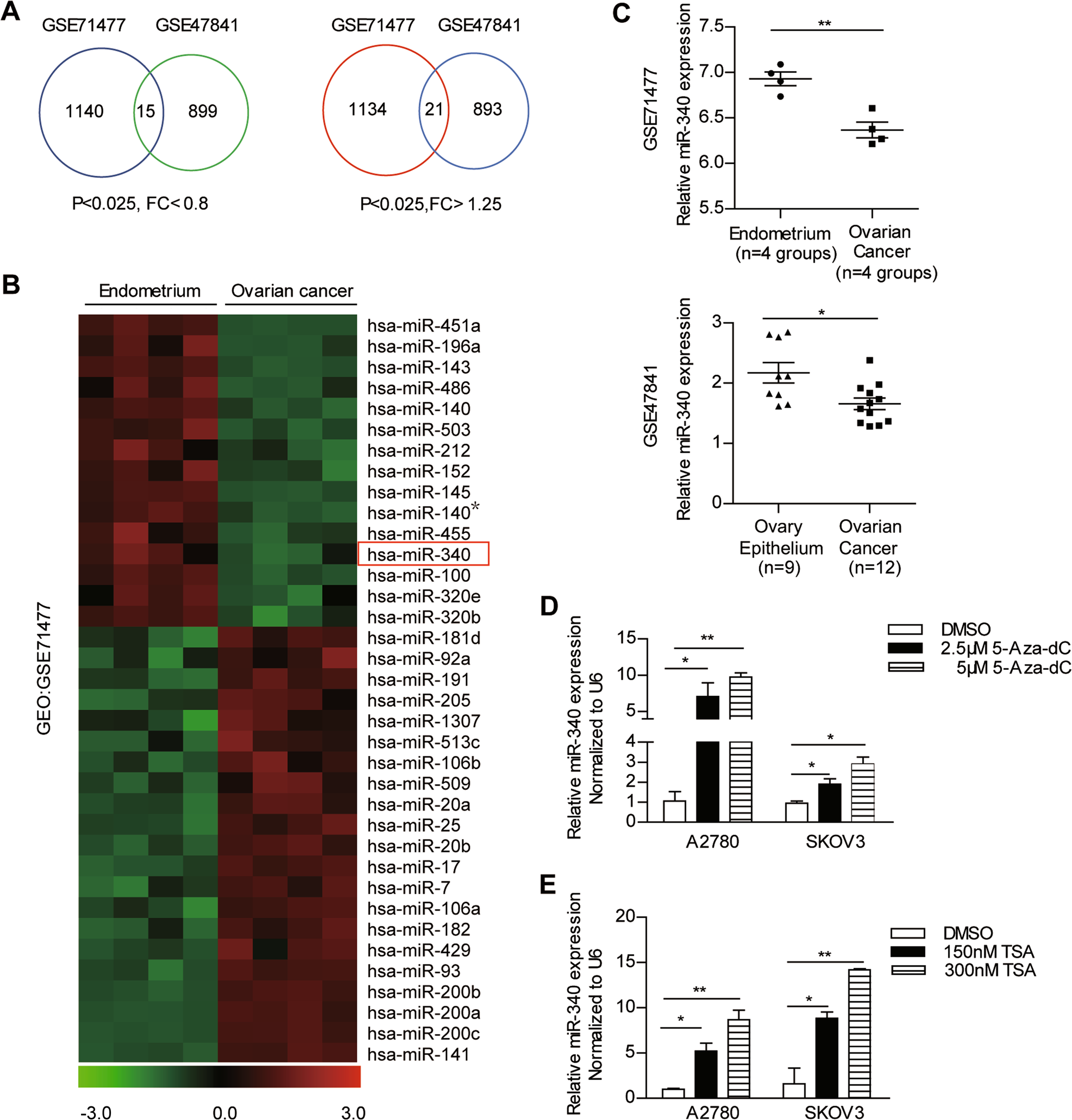 Fig. 1: miR-340 is downregulated in human ovarian cancer (OC).