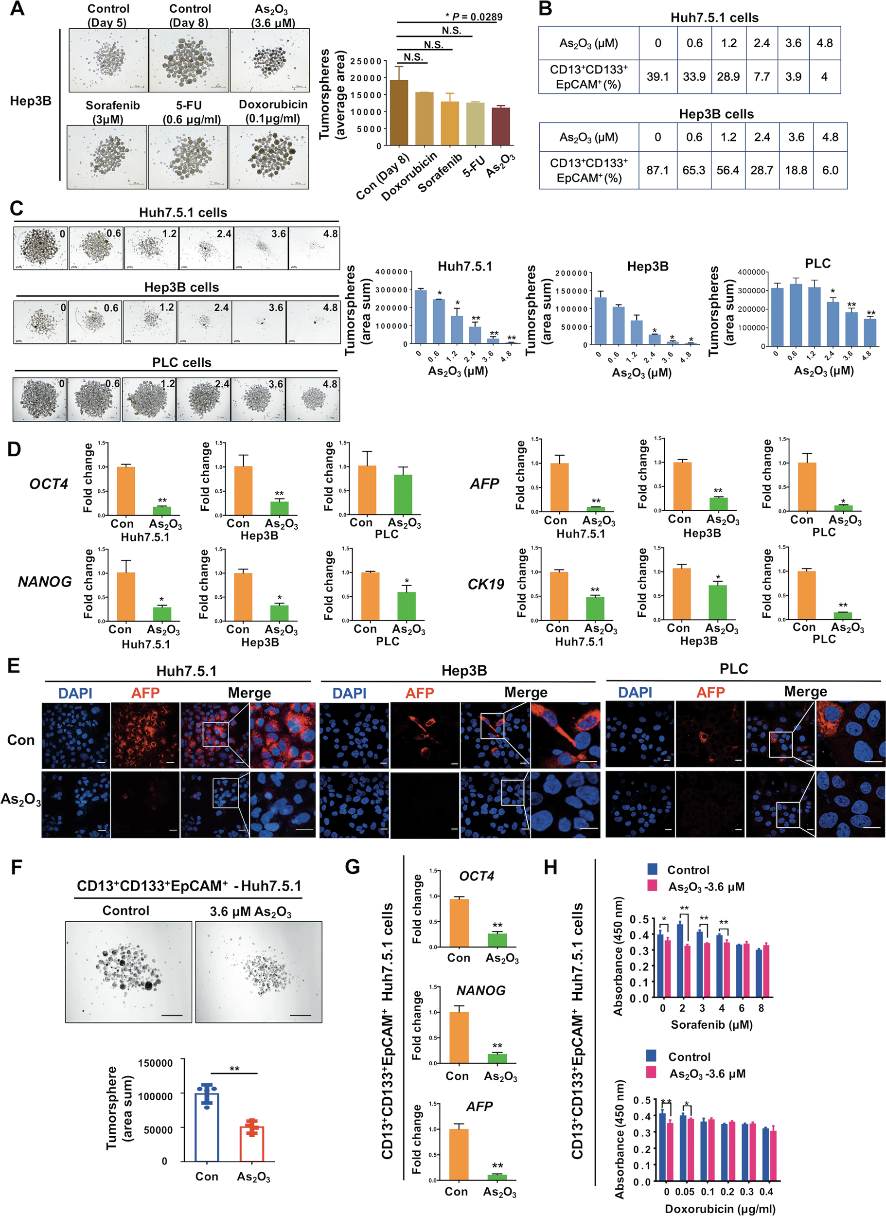 Fig. 2: ATO attenuates liver CSC-associated traits in HCC cells.