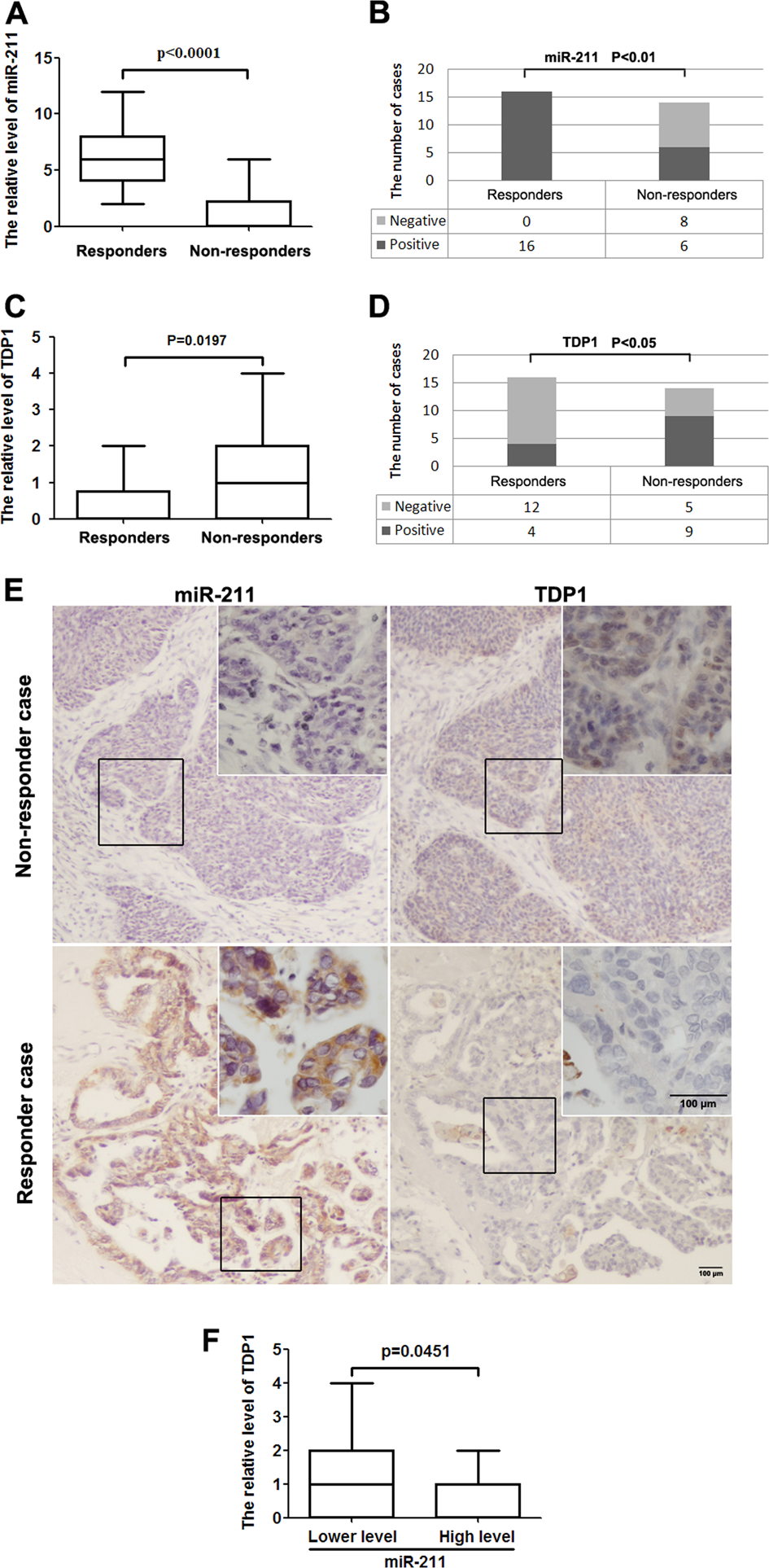 Fig. 5: miR-211 improved neoadjuvant chemosensitivity by targeting the DDR gene.