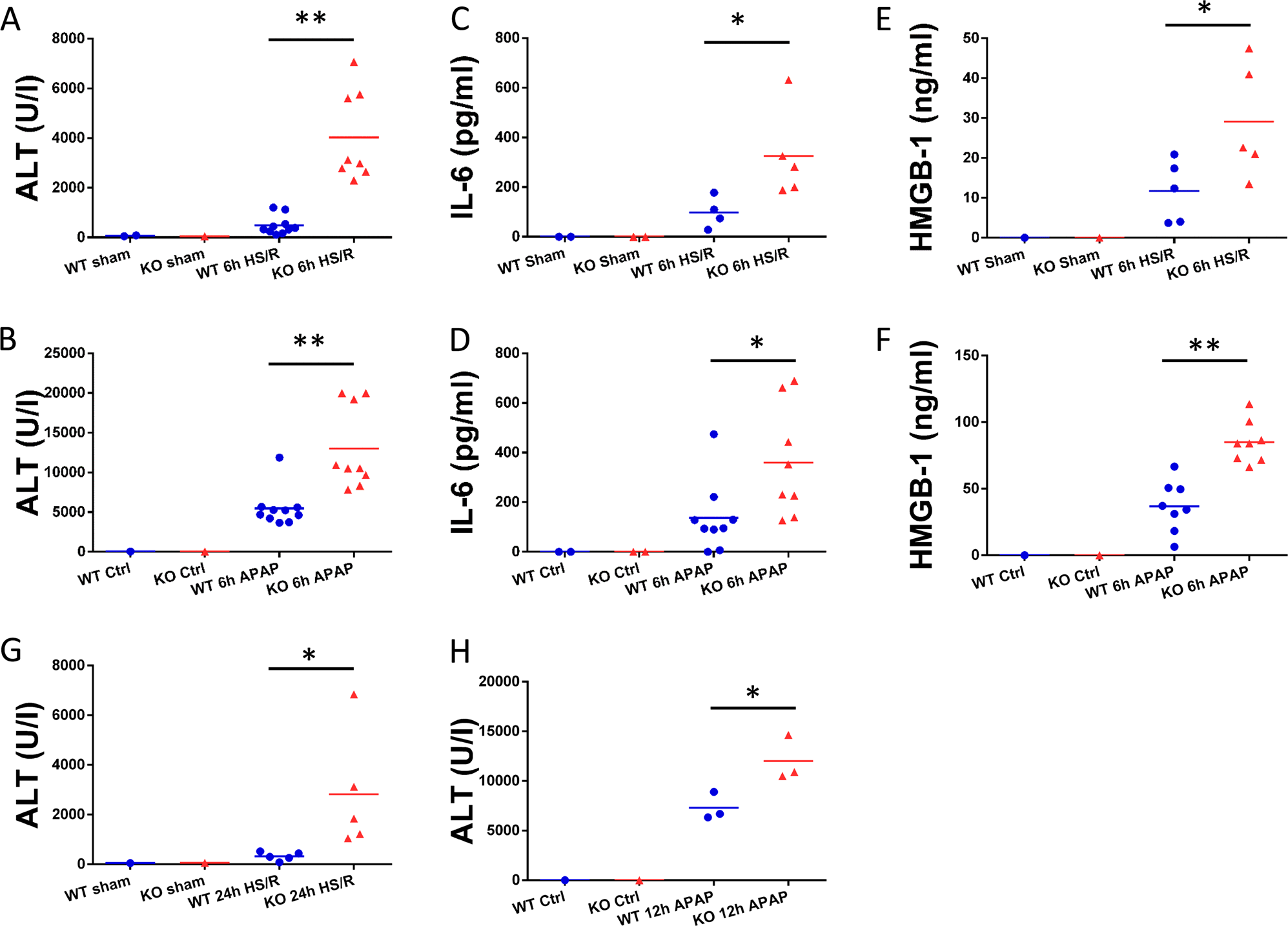 Fig. 1: Liver damage and systemic inflammation in WT and GsdmD−/− (KO) mice after 6 h hemorrhagic shock with resuscitation (HS/R) or acetaminophen overdose (APAP).