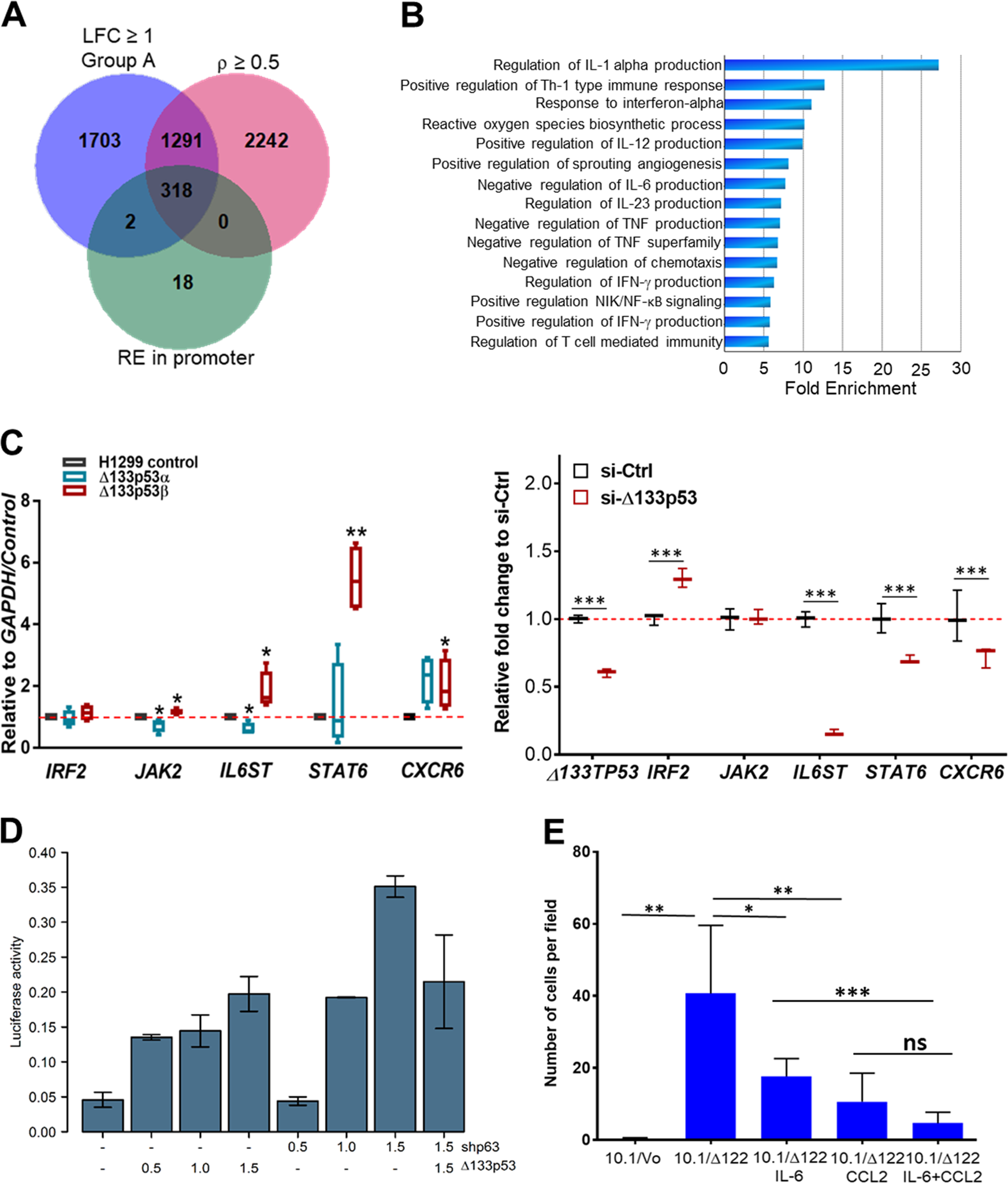 Fig. 7: ∆133p53 isoforms regulate genes involved in immune cell activity and recruitment.