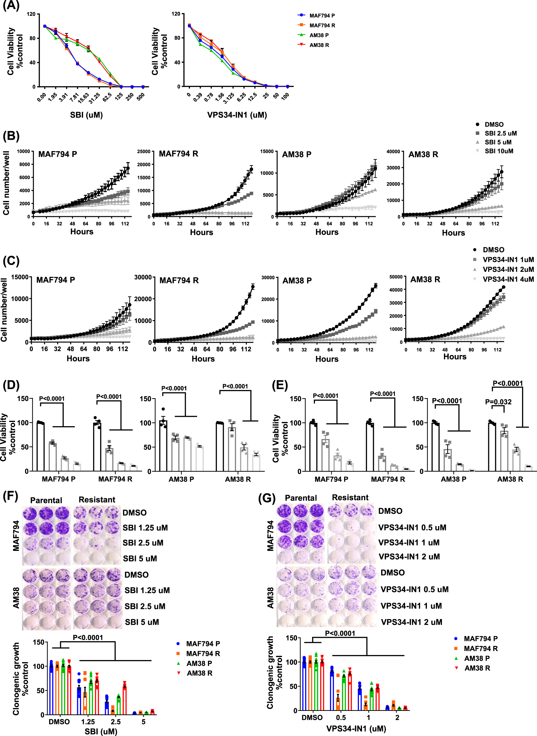 Fig. 1: Parental and resistant BRAFV600E brain tumor cell lines demonstrate sensitivity toward early-stage autophagy inhibition.