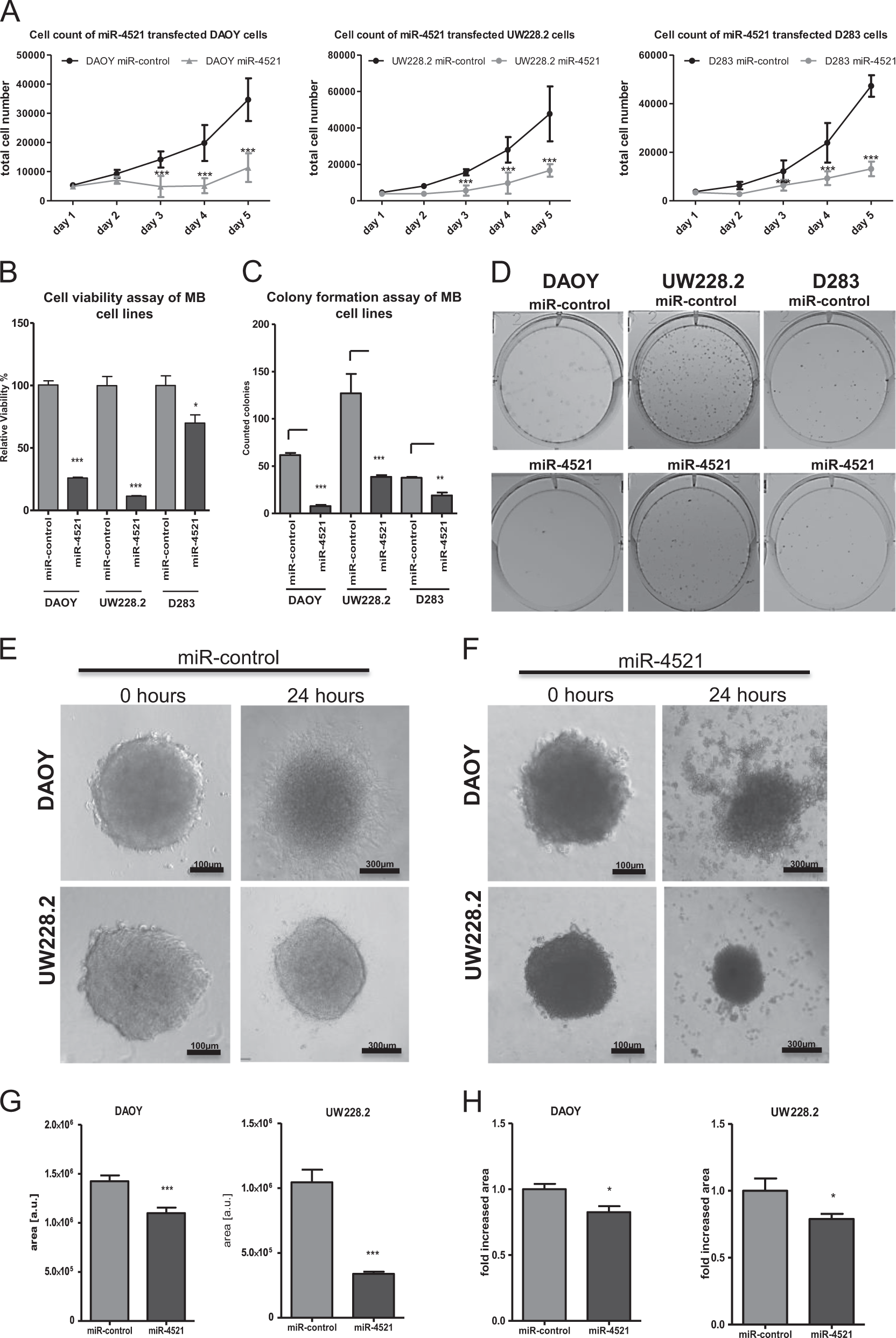 Fig. 4: Anti-proliferative effect of miR-4521 in MB cell lines.