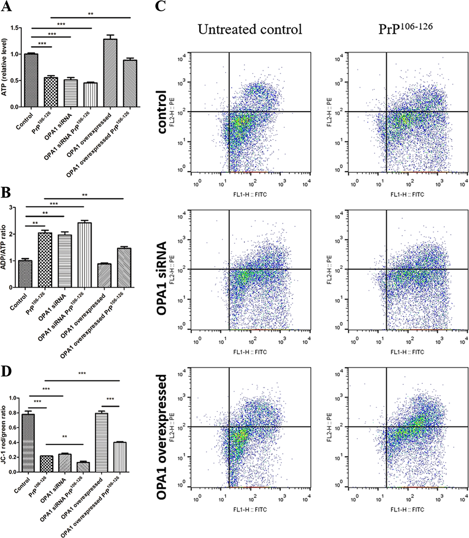 Fig. 4: Overexpression of OPA1 ameliorates PrP106–126-induced mitochondrial dysfunction.