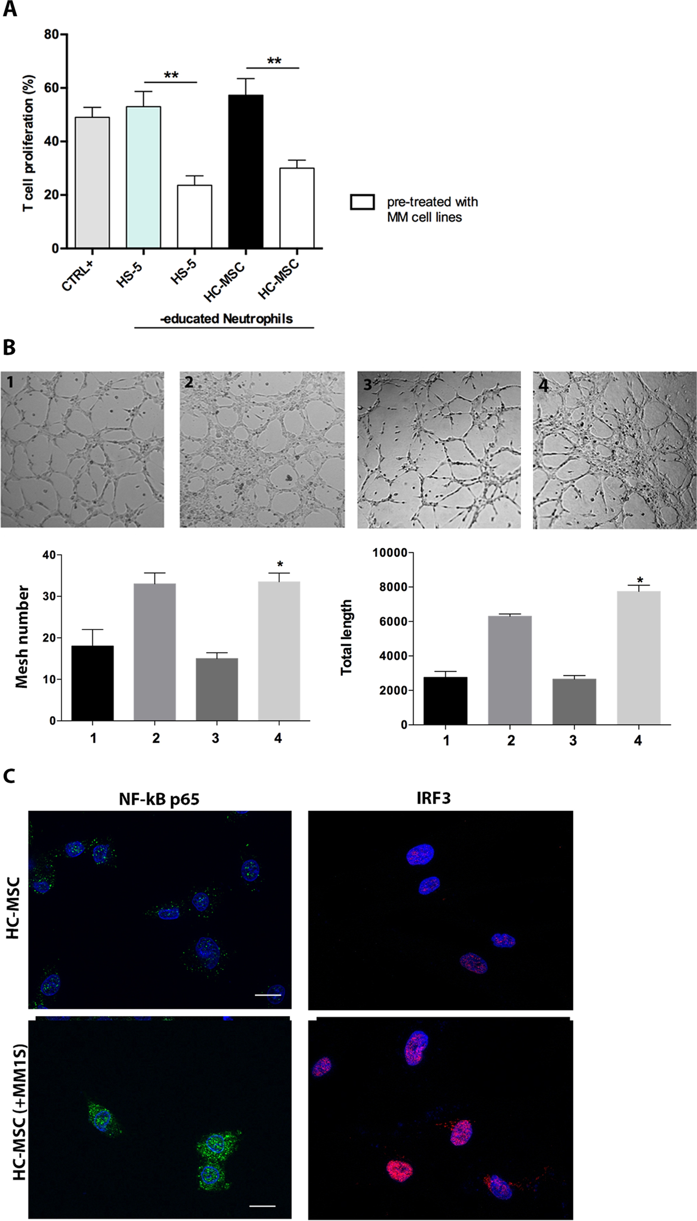 Fig. 2: PC activated MSC towards an inflammatory phenotype.