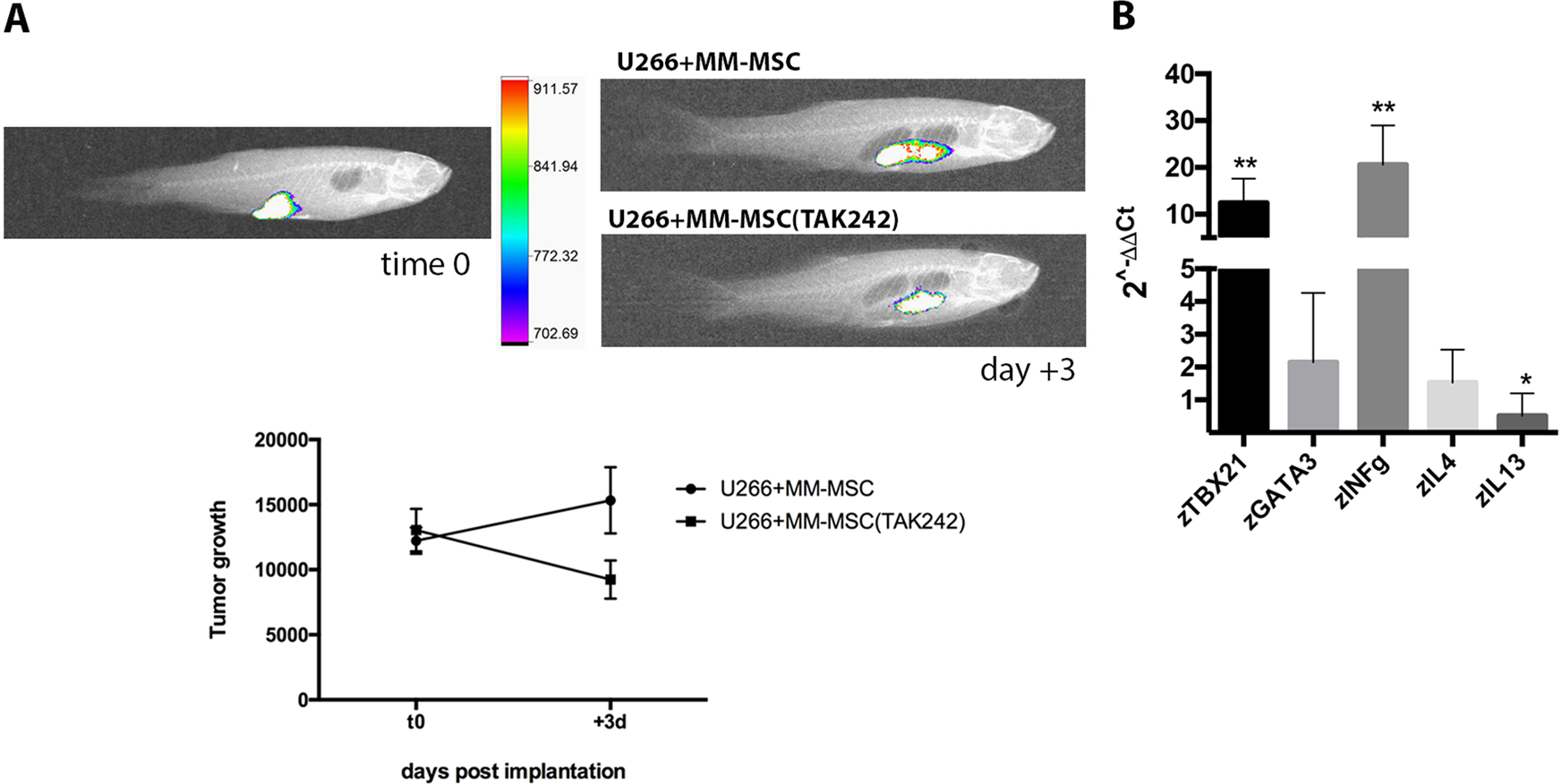 Fig. 5: Inhibition of TLR4 signaling in MM-MSC decreased PC engraftment in vivo.