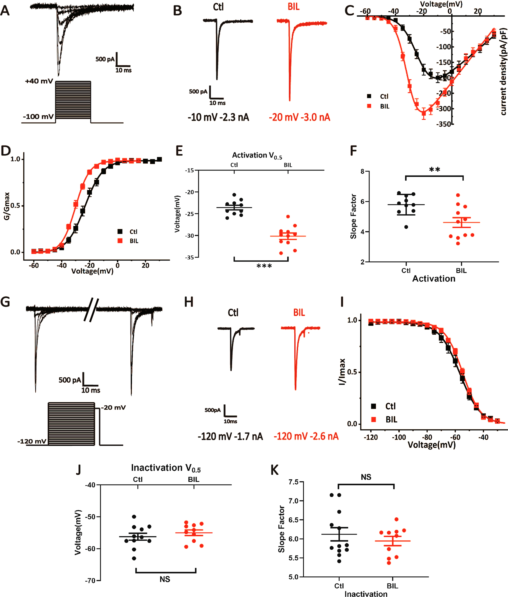 Fig. 2: BIL enhanced VGSC currents and accelerated their activation.