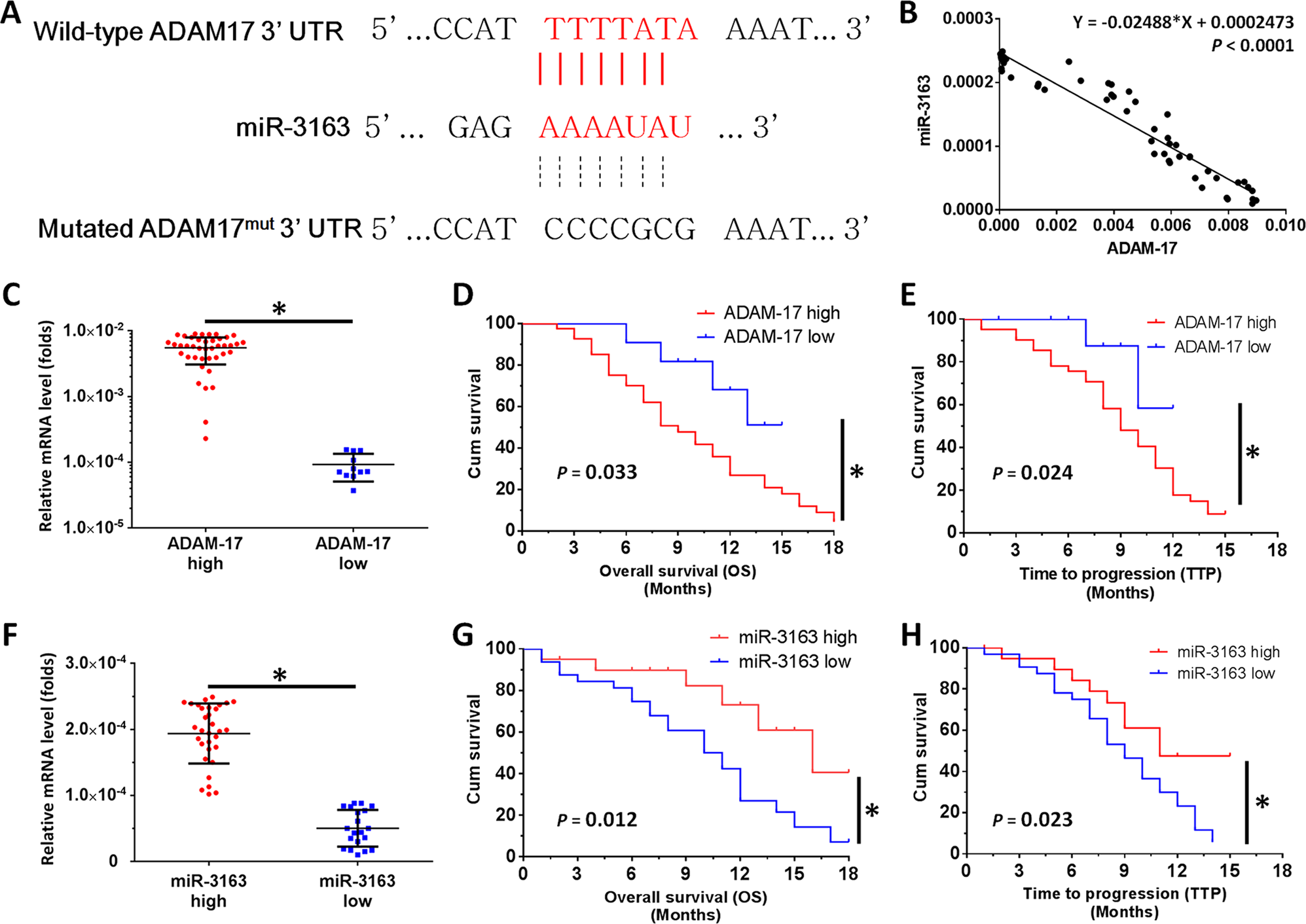 Fig. 1: The miR-3163/ADAM-17 axis plays roles in the regulation of HCC treatment.