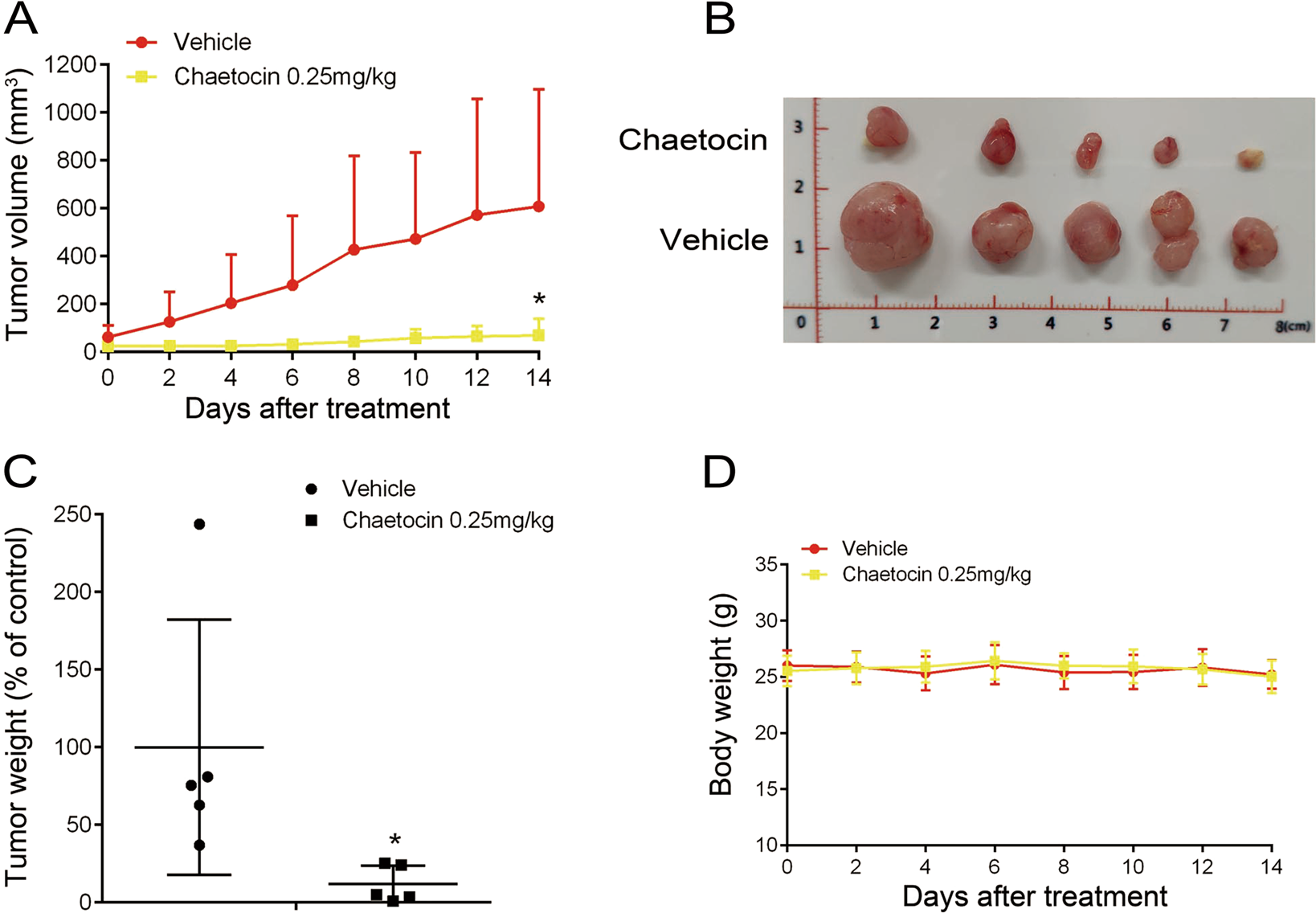 Fig. 7: Chaetocin inhibits the growth of patient-derived GC xenografts.