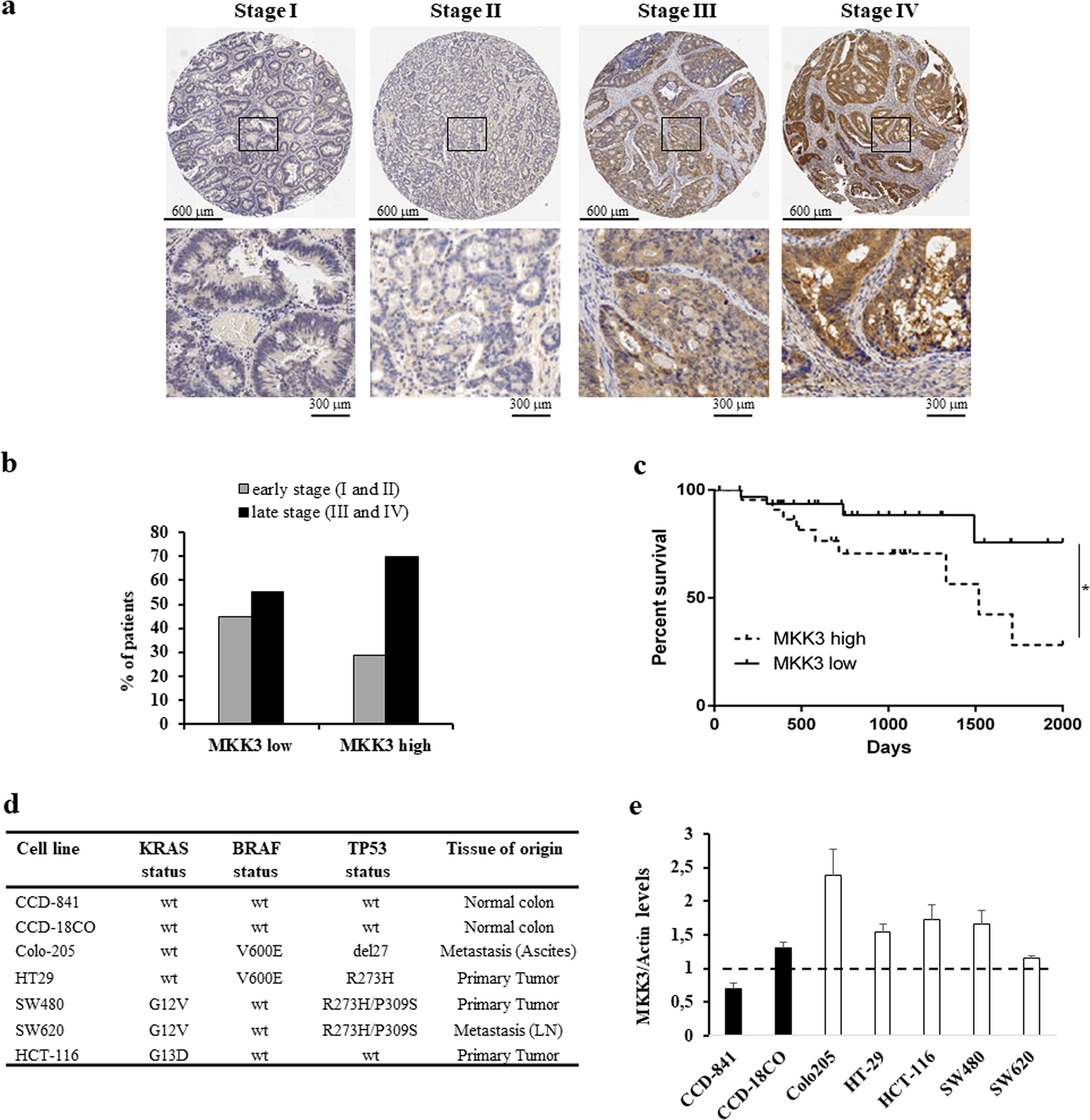 MKK3 sustains cell proliferation and survival through p38DELTA MAPK  activation in colorectal cancer | Cell Death & Disease