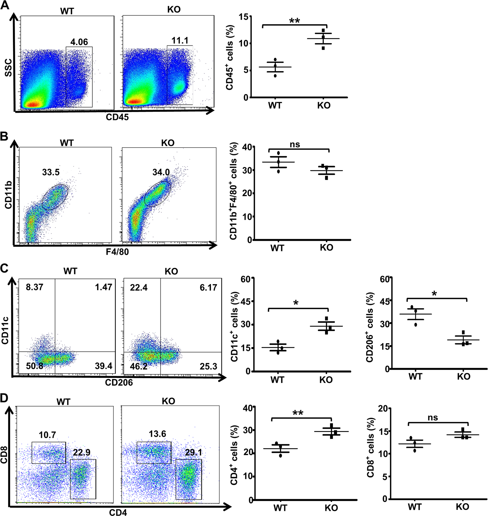 Fig. 2: Macrophages in the local pancreatic milieu in MLD-STZ-treated mice.