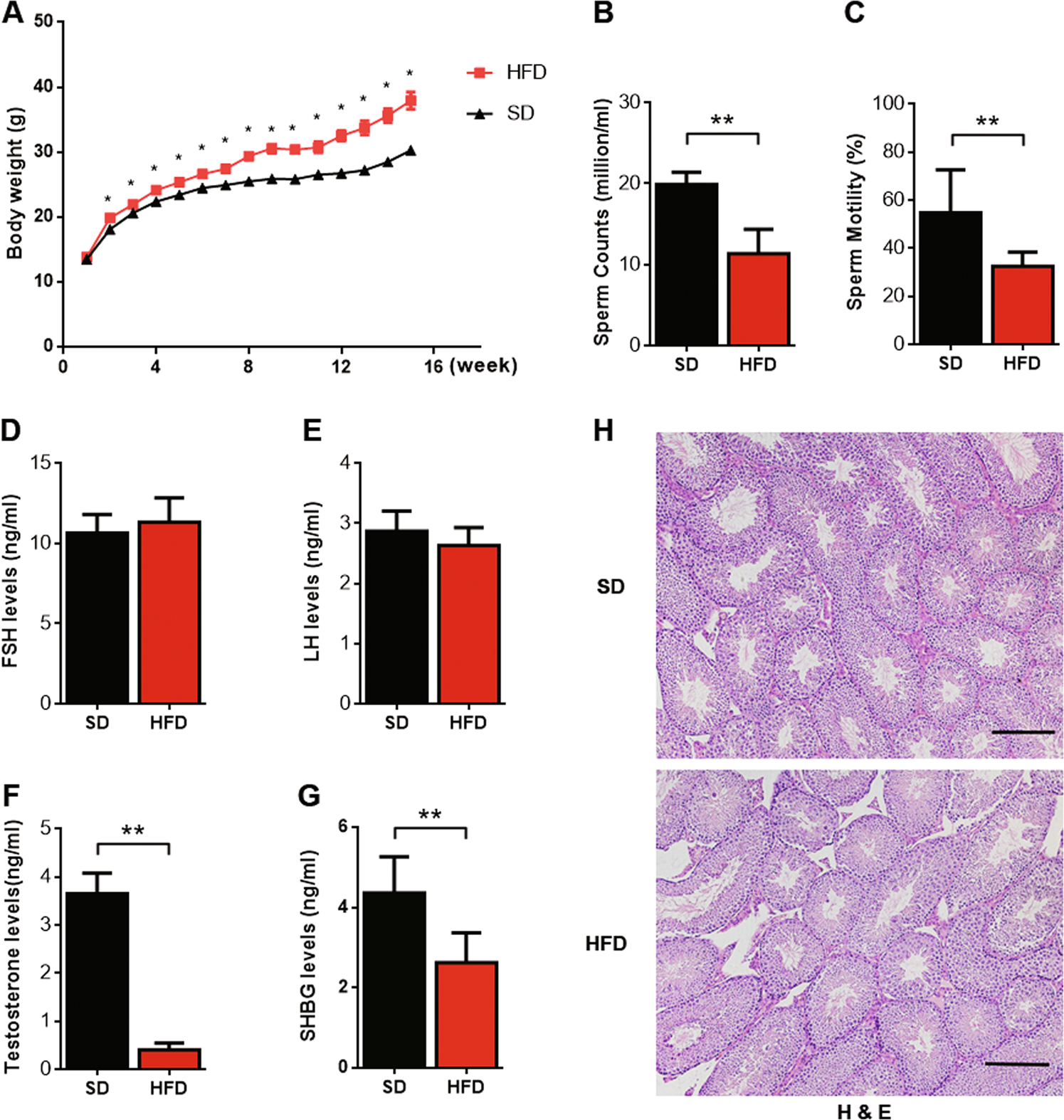 Fig. 1: HFD-induced decreases in semen quality and testosterone production in mice.