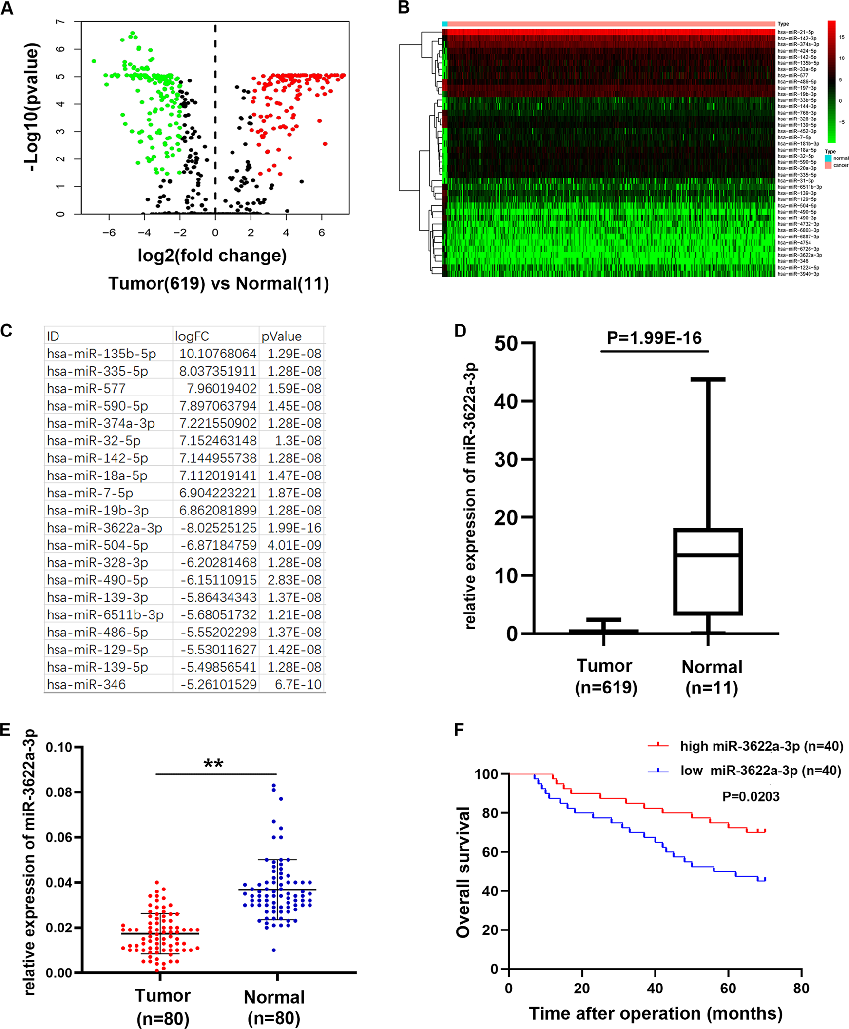 MiR-3622a-3p acts as a tumor suppressor in colorectal cancer by reducing  stemness features and EMT through targeting spalt-like transcription factor  4 | Cell Death & Disease