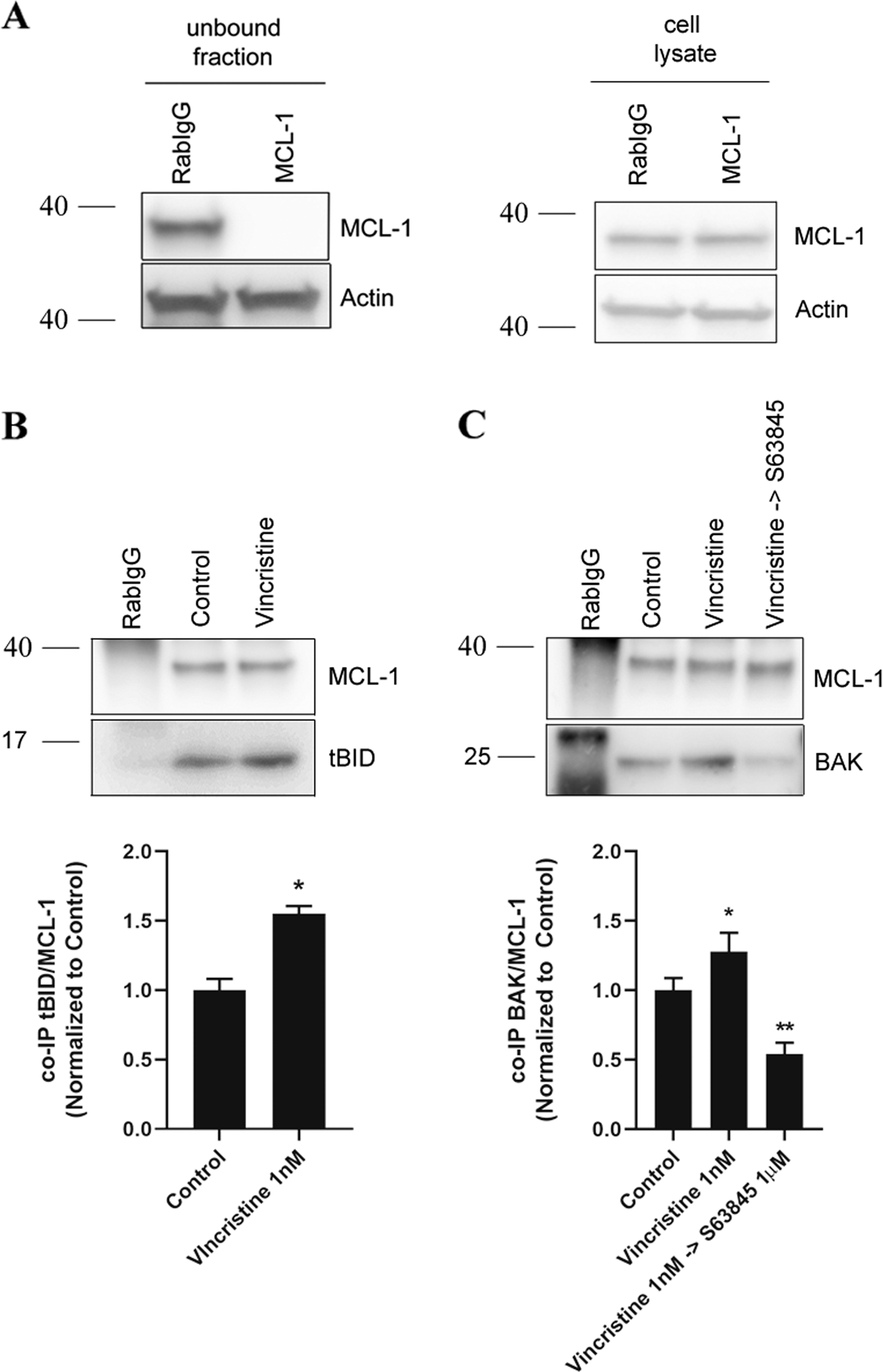 Fig. 4: Vincristine induces resistance in RMS cells through BID and BAK inhibition by MCL-1.